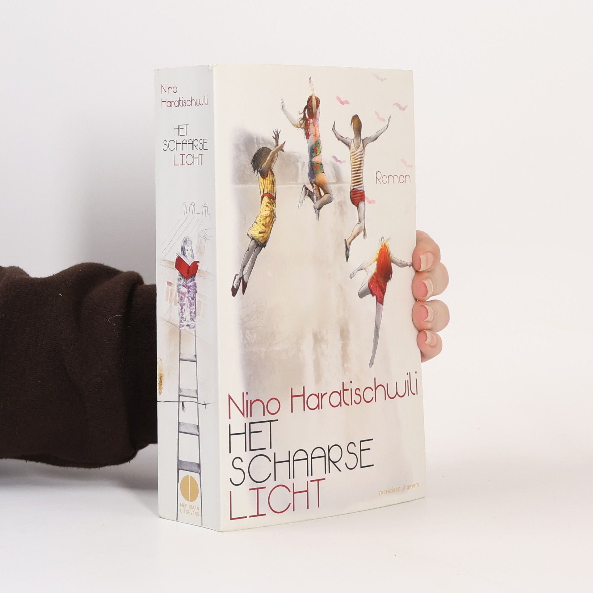 Elly Schippers Het schaarse licht