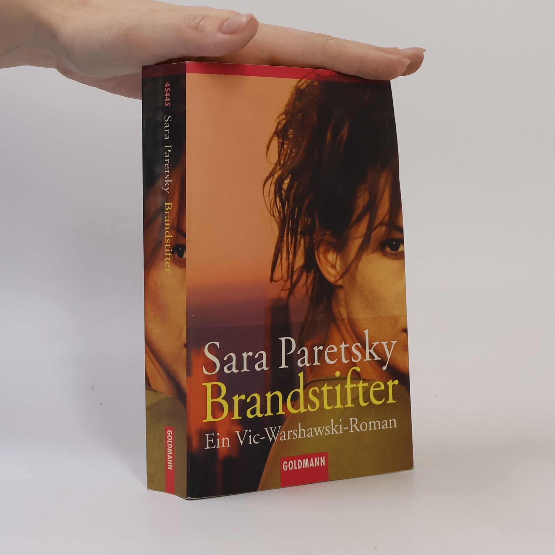 Sara Paretzky Brandstifter