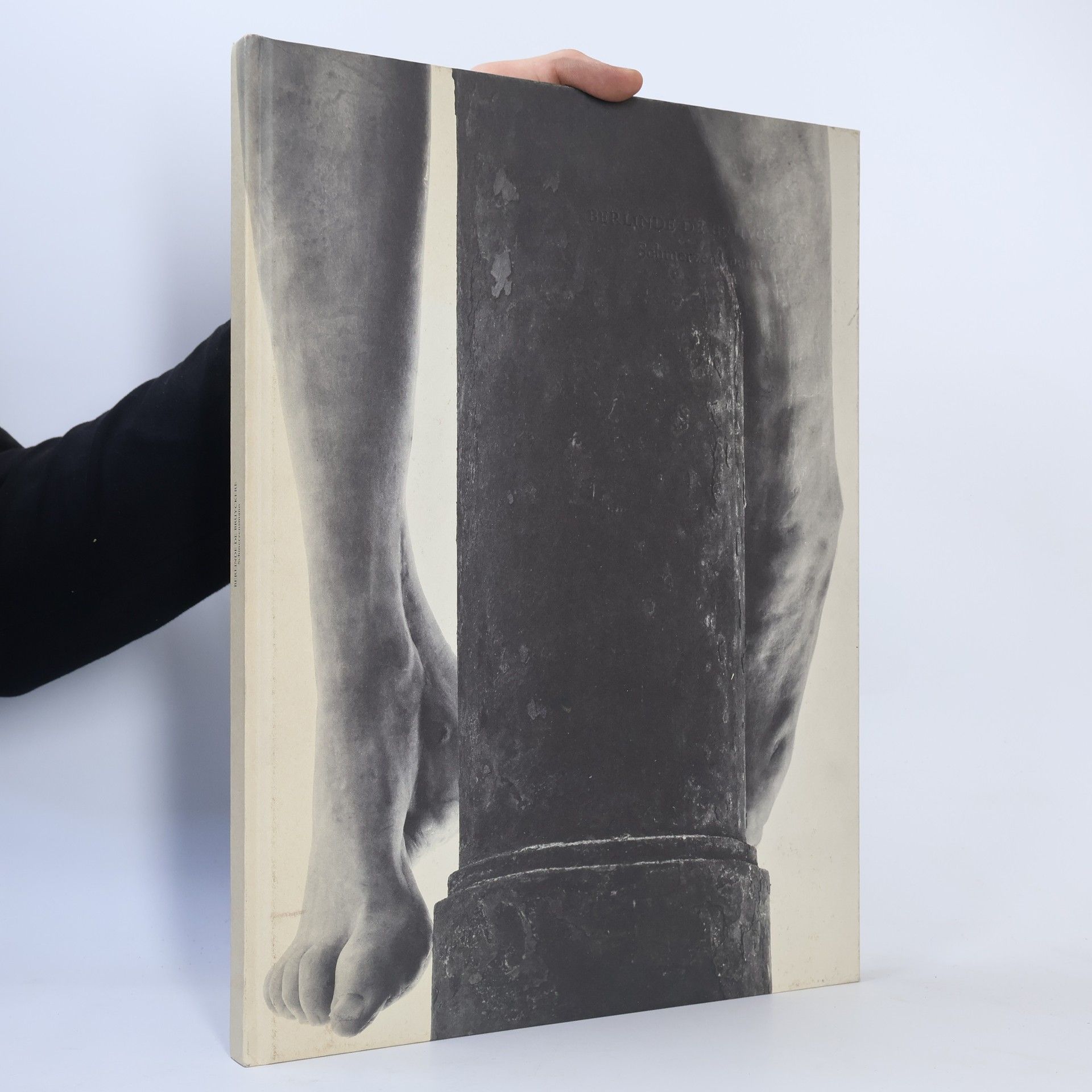 Berlinde De Bruyckere