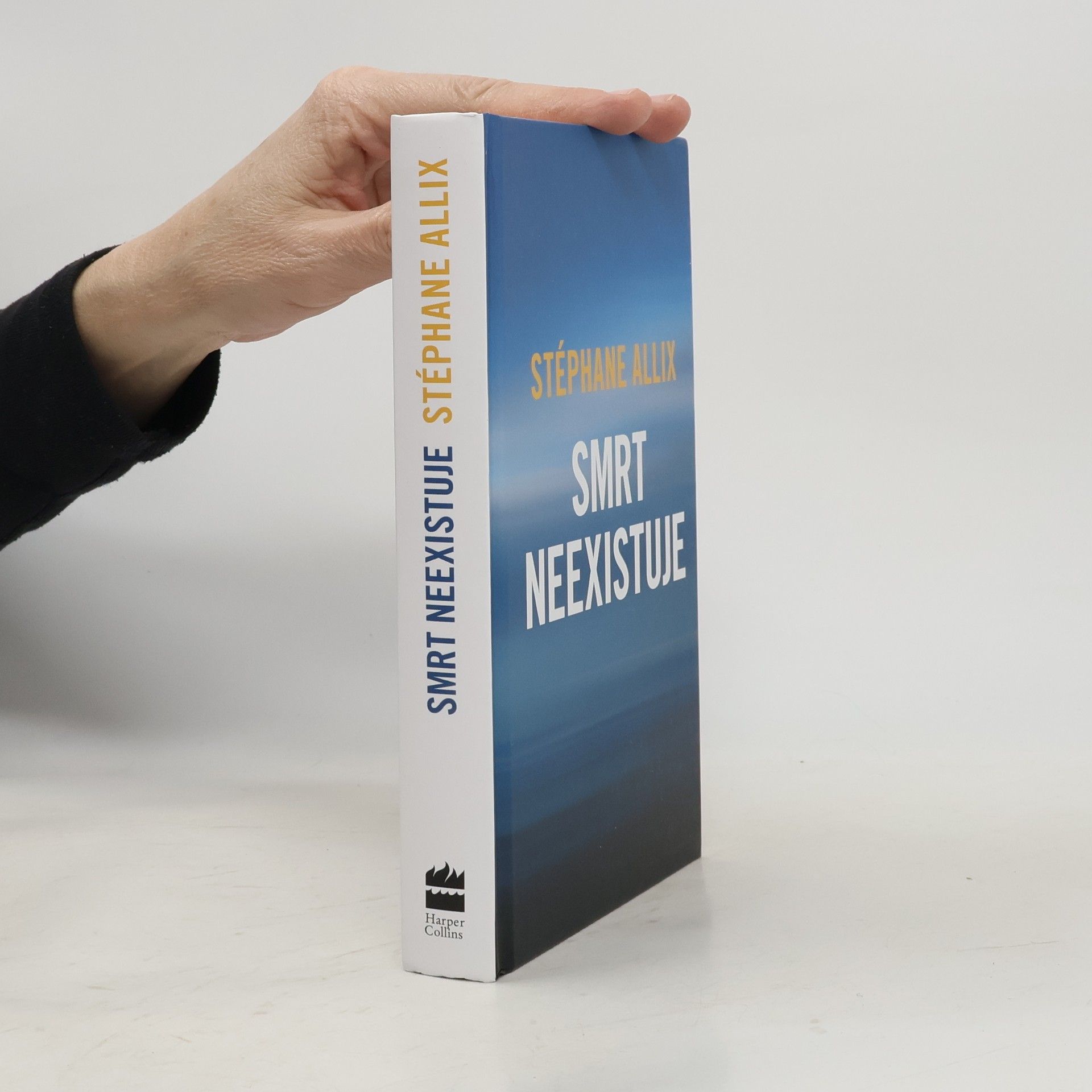 Stéphane Allix Smrt neexistuje