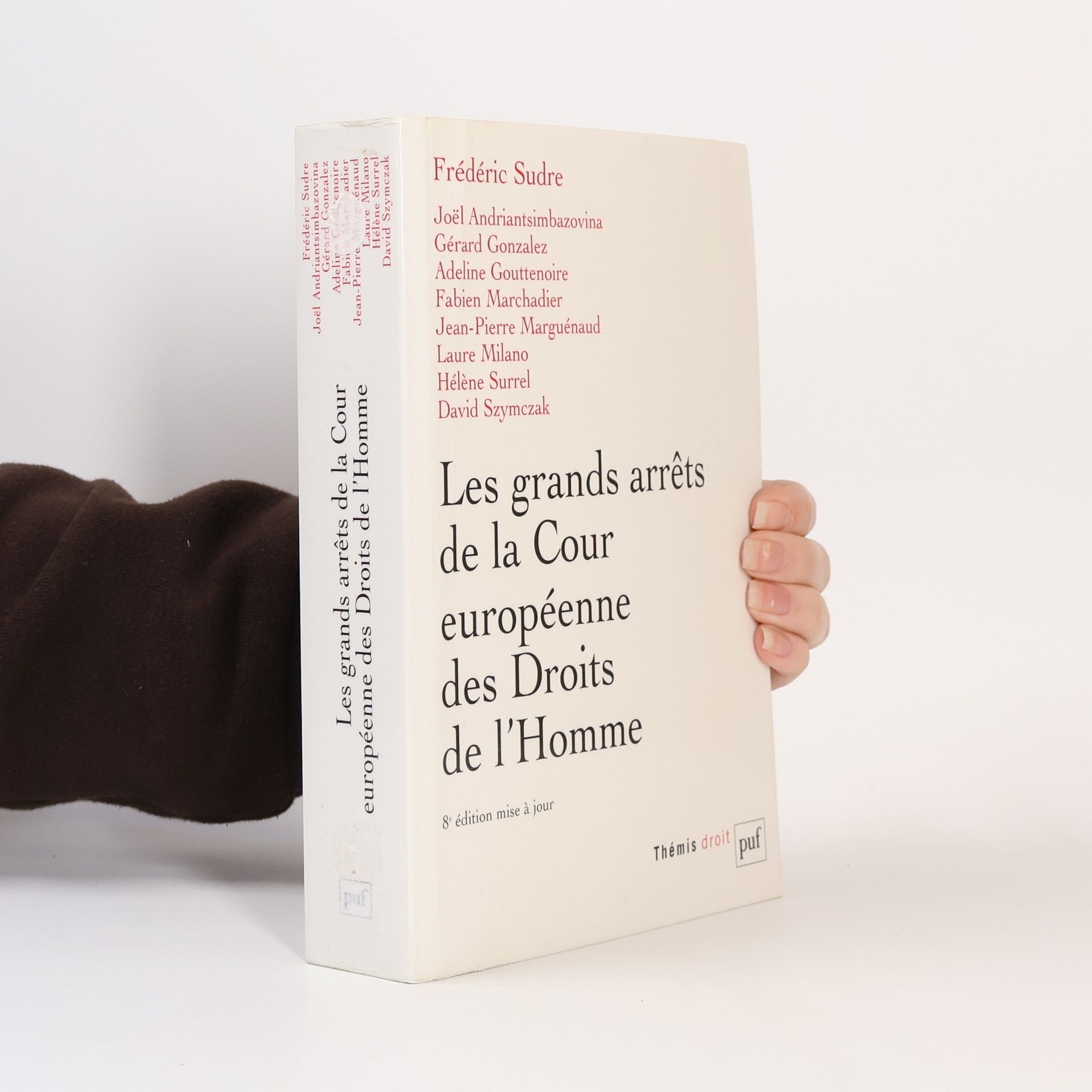 Frédéric Sudre Les grands arrêts de la Cour européenne des droits de l'homme