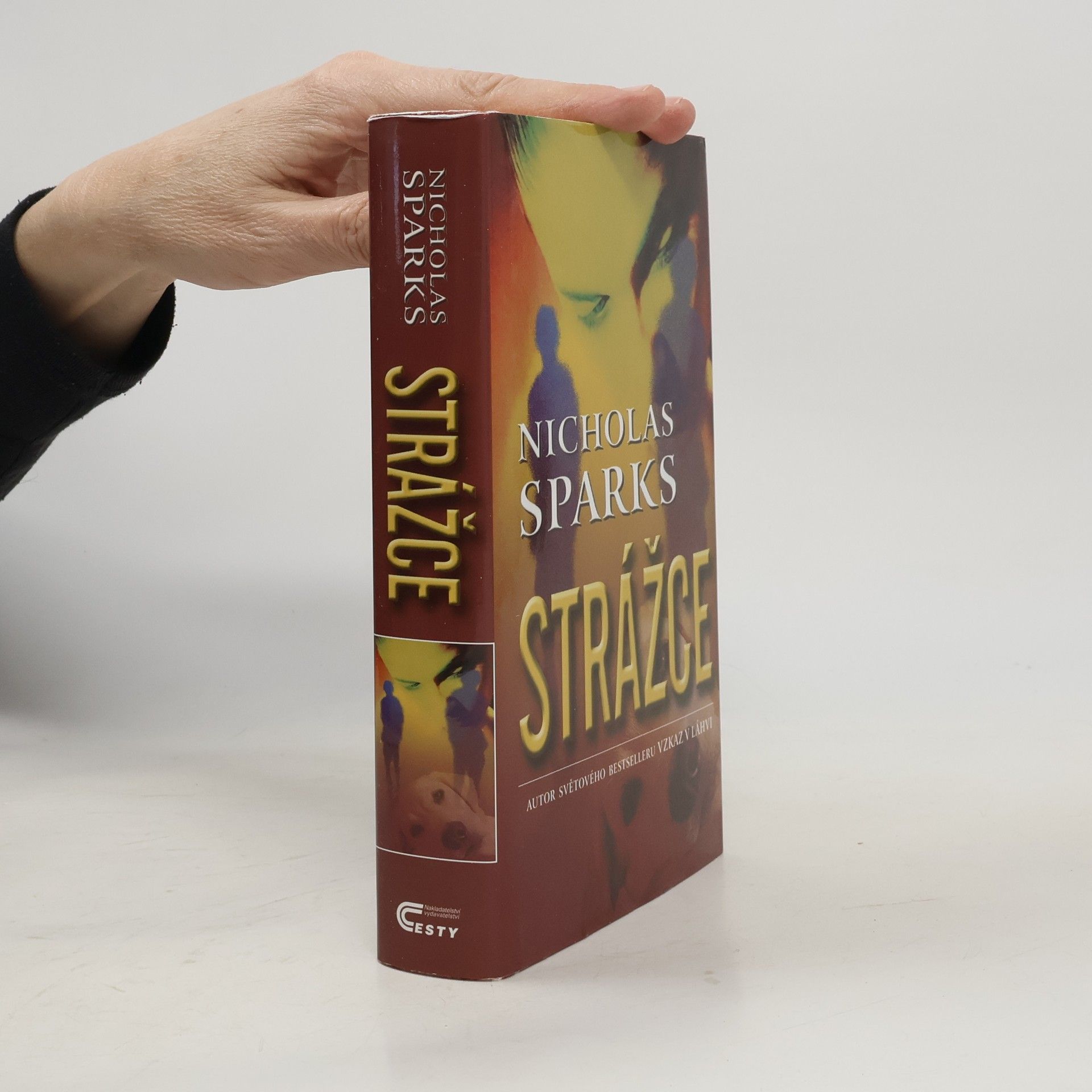 Nicholas Sparks Strážce