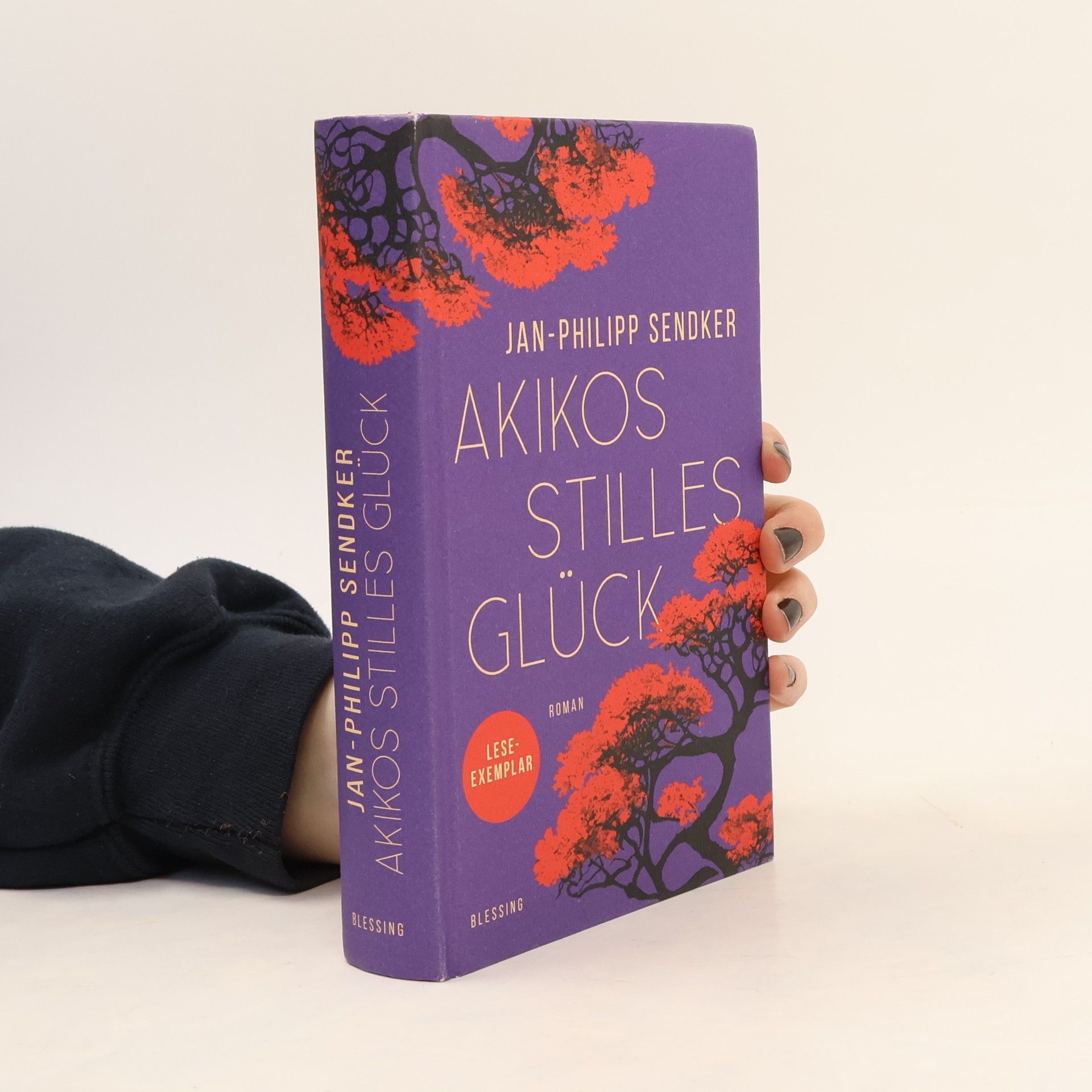 Jan-Philipp Sendker Akikos stilles Glück. Roman