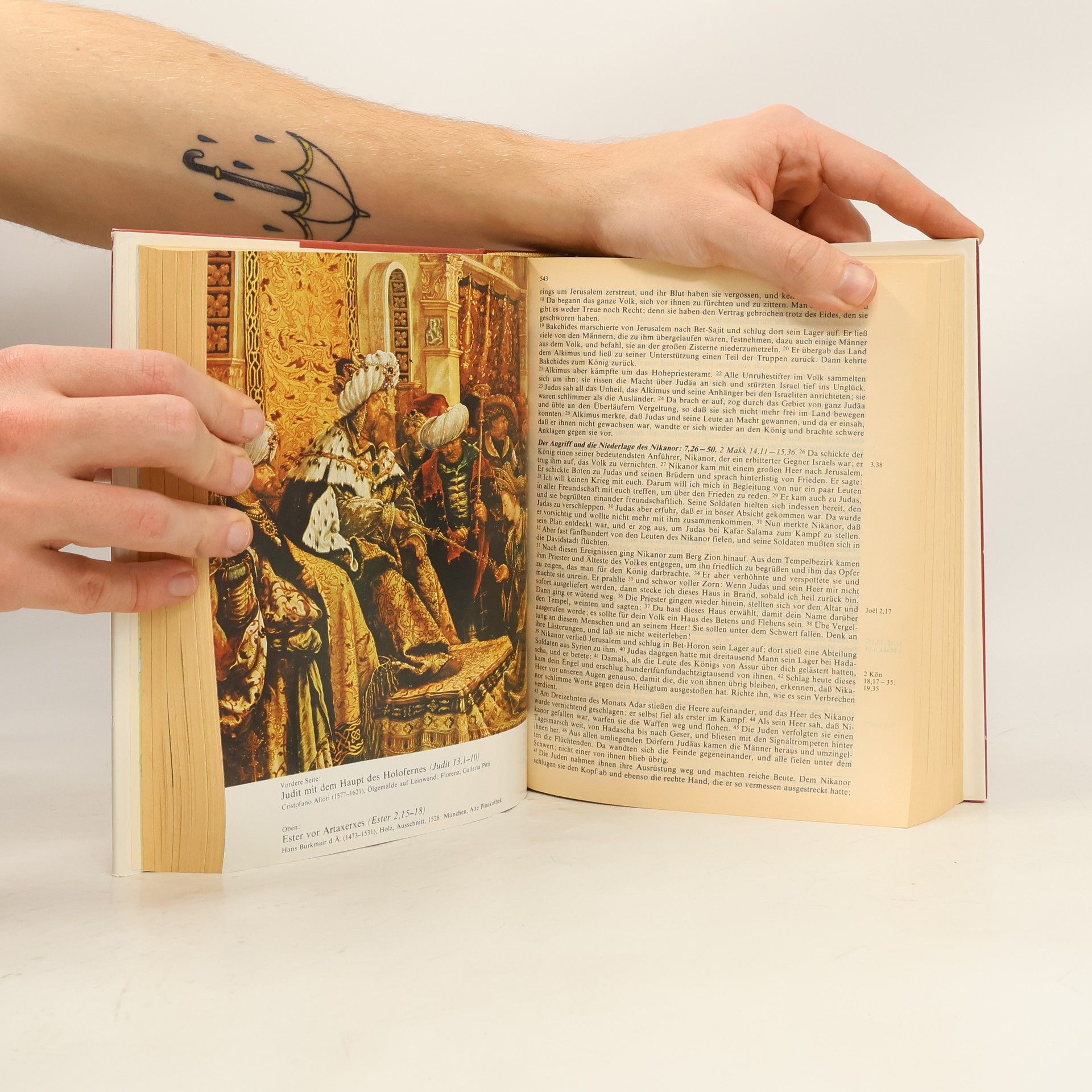 Kolektív autorov Die Bibel