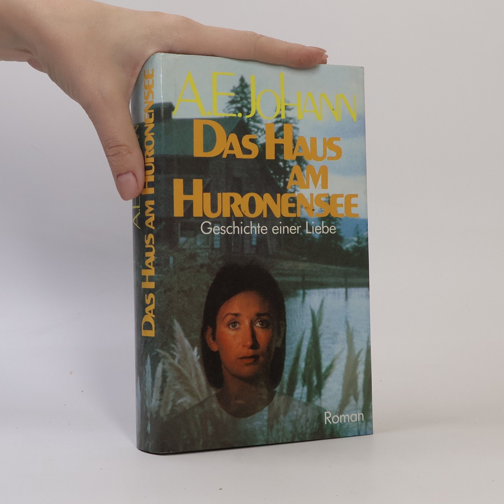 Alfred E. Johann Das Haus Am Huronensee