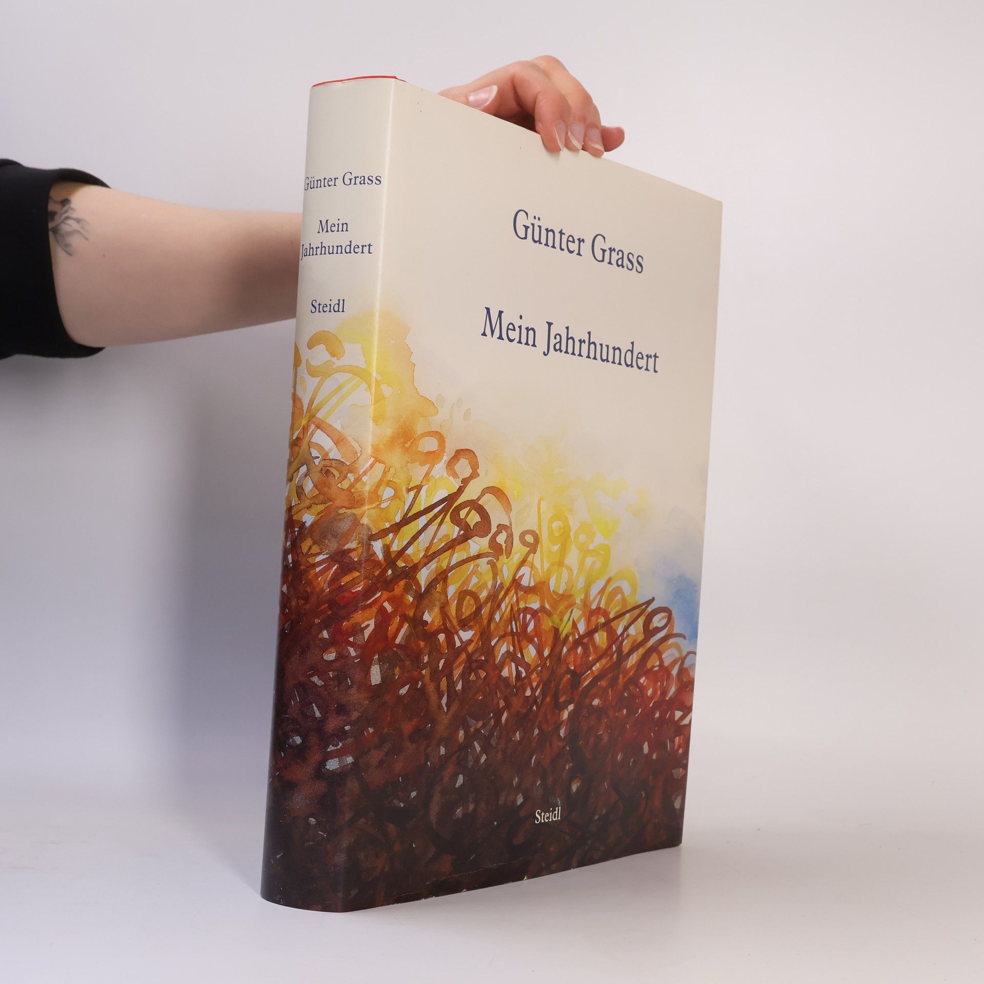 Günter Grass Mein Jahrhundert