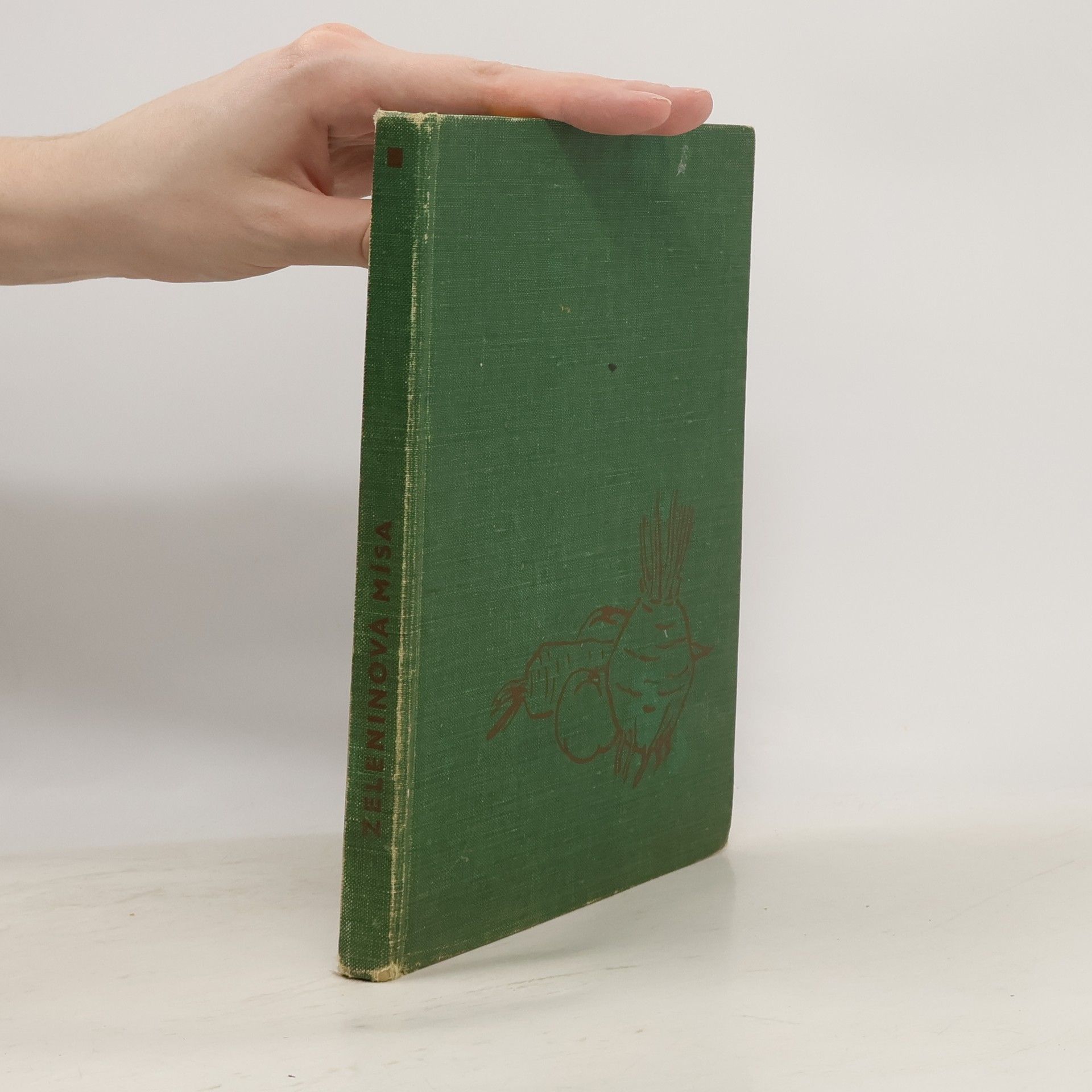 kolektiv Zeleninová mísa