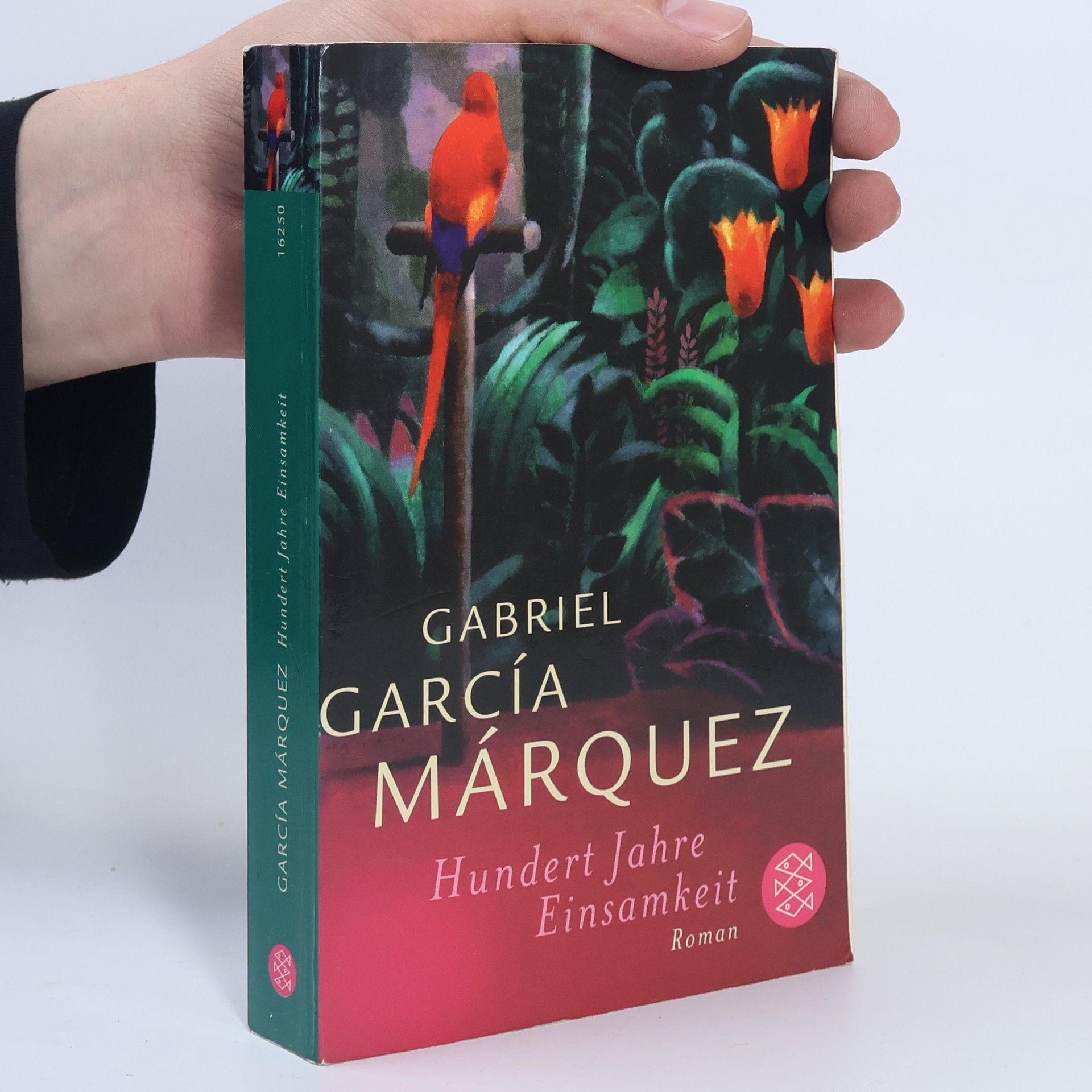Gabriel García Márquez Hundert Jahre Einsamkeit
