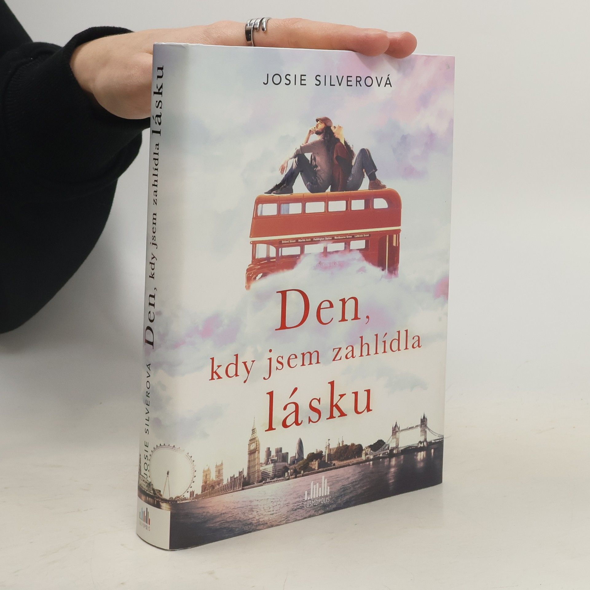 Josie Silver Den, kdy jsem zahlídla lásku