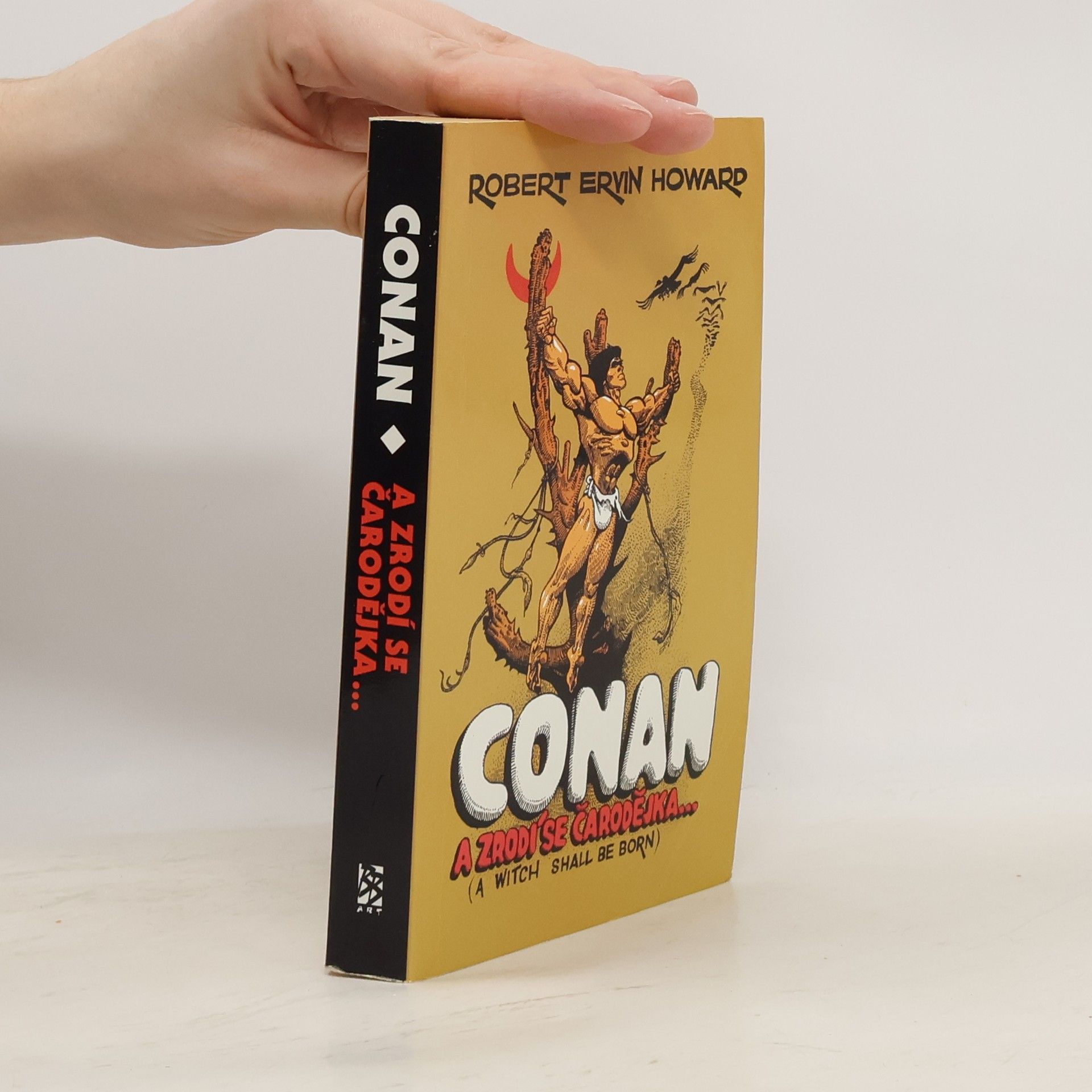 Robert Ervin Howard Conan: A zrodí se čarodějka... a jiné povídky