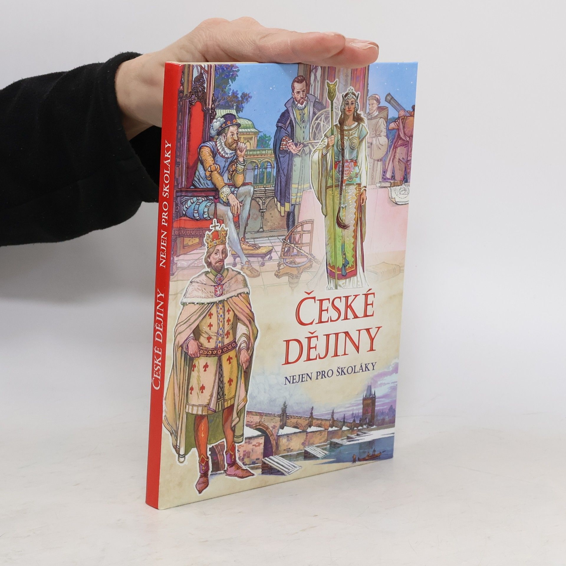Kolektiv autorů České dějiny nejen pro školáky