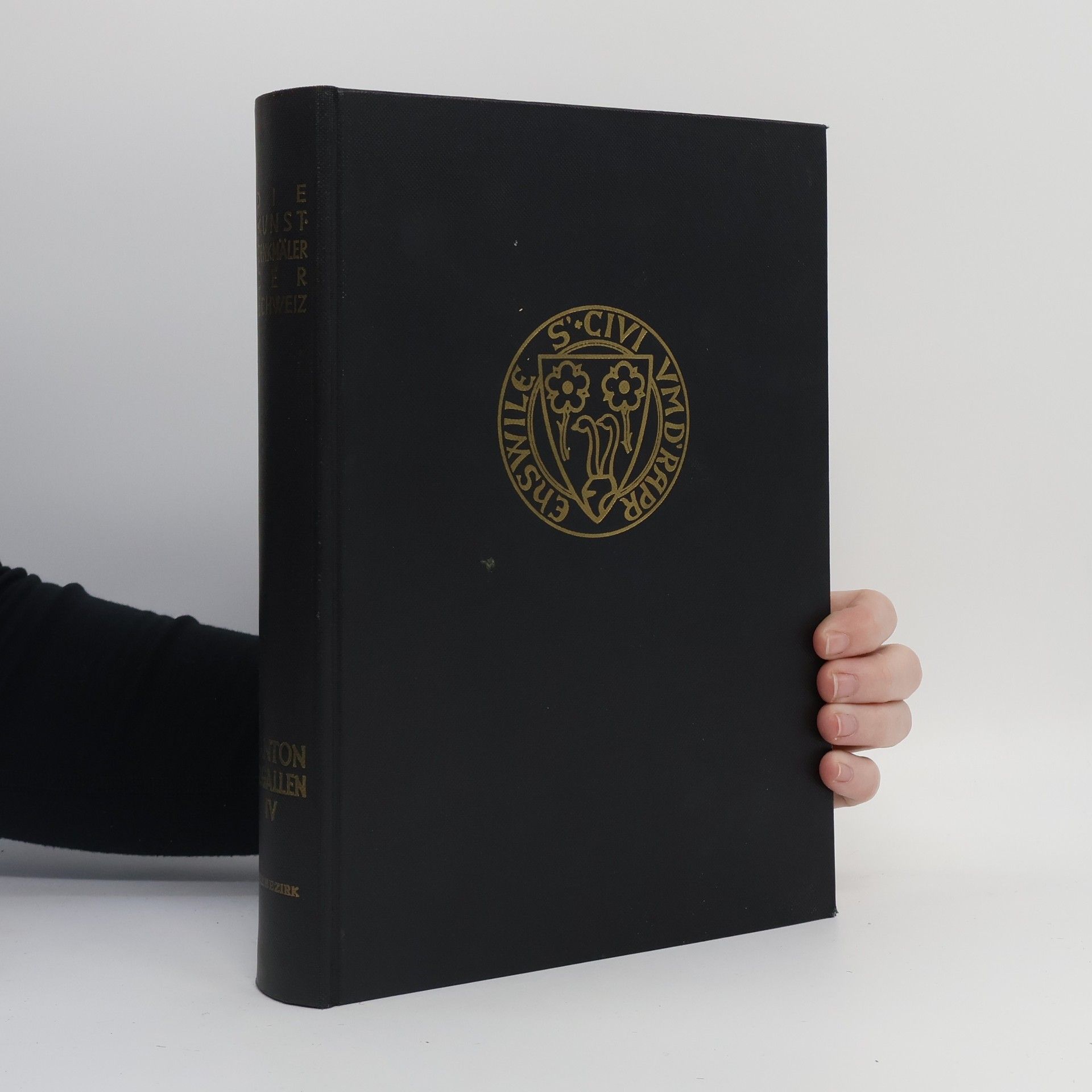 Bernhard Anderes Die Kunstdenkmäler des Kantons St. Gallen 4. Der Seebezirk