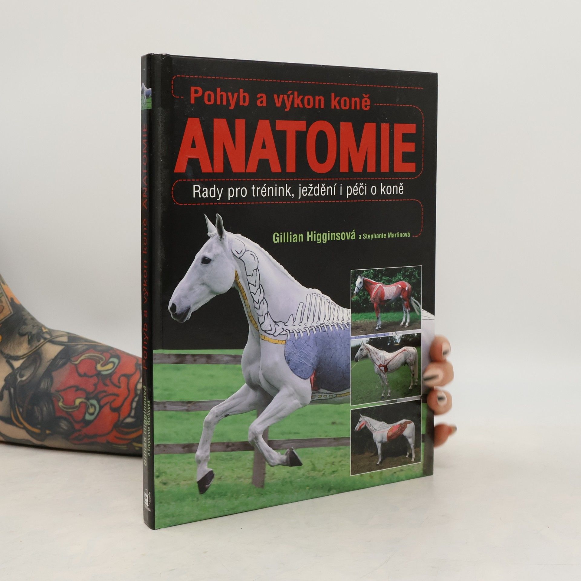 Pohyb a výkon koně. Anatomie