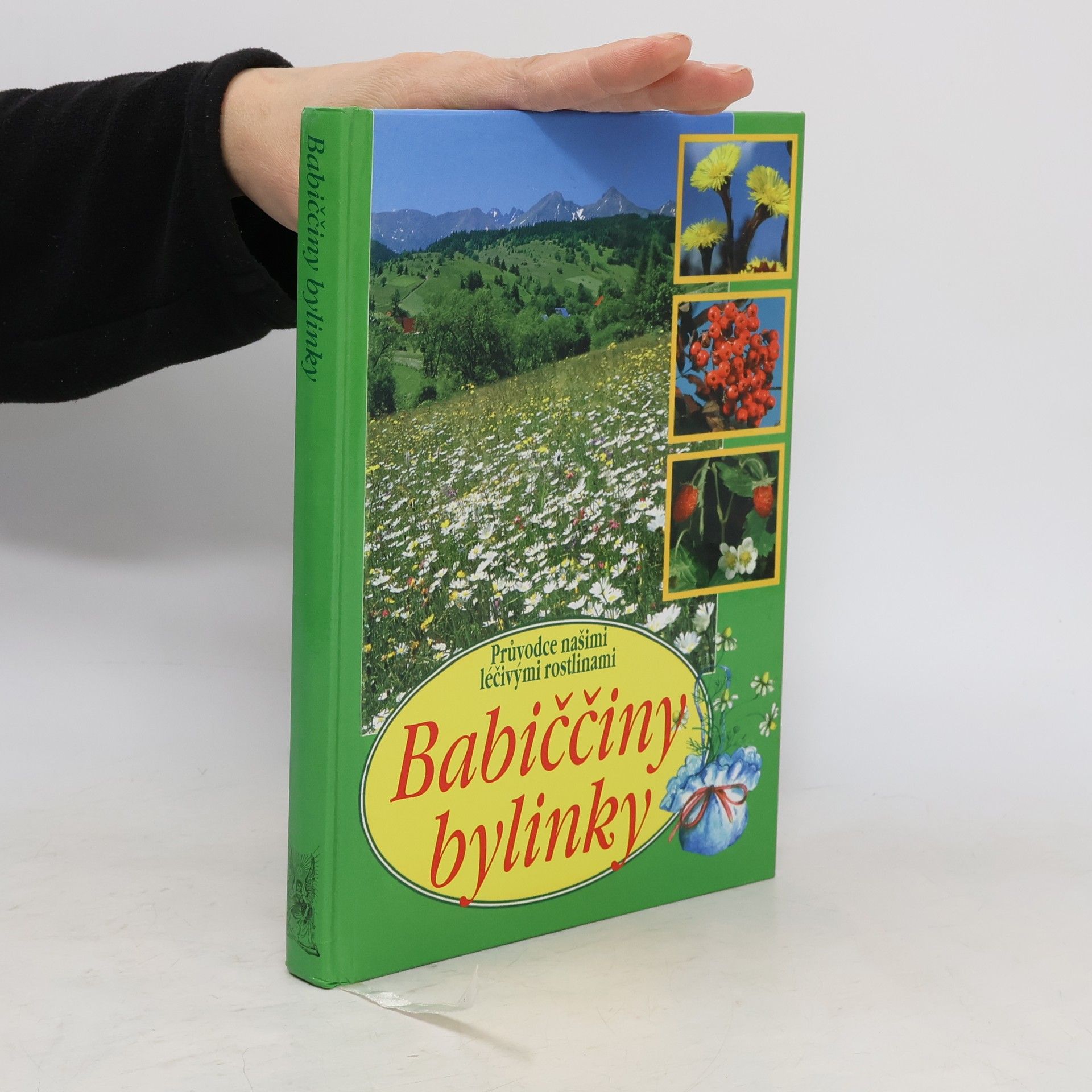 Aurélia Dugas Babiččiny bylinky : průvodce našimi léčivými rostlinami