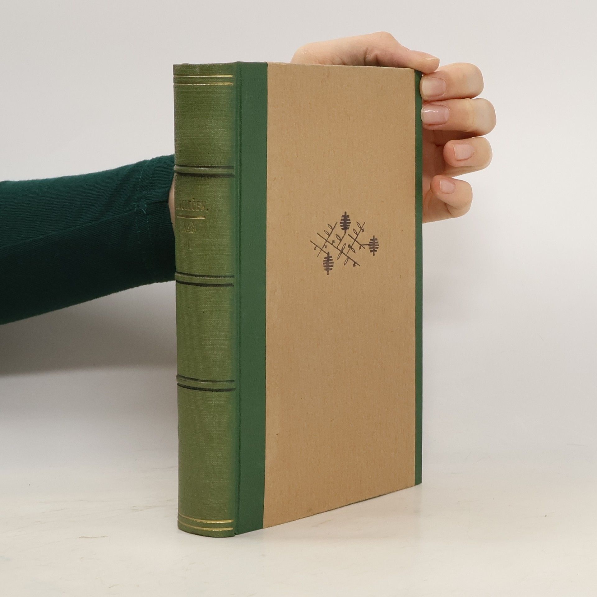 Josef Holeček Naši. Kniha druhá