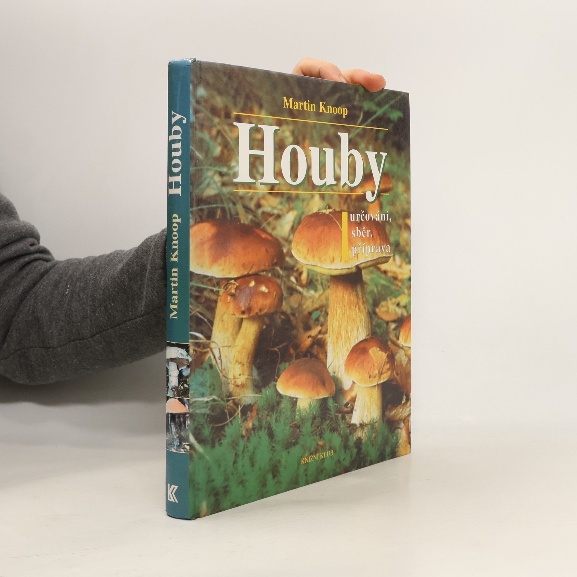 Houby : určování, sběr, příprava