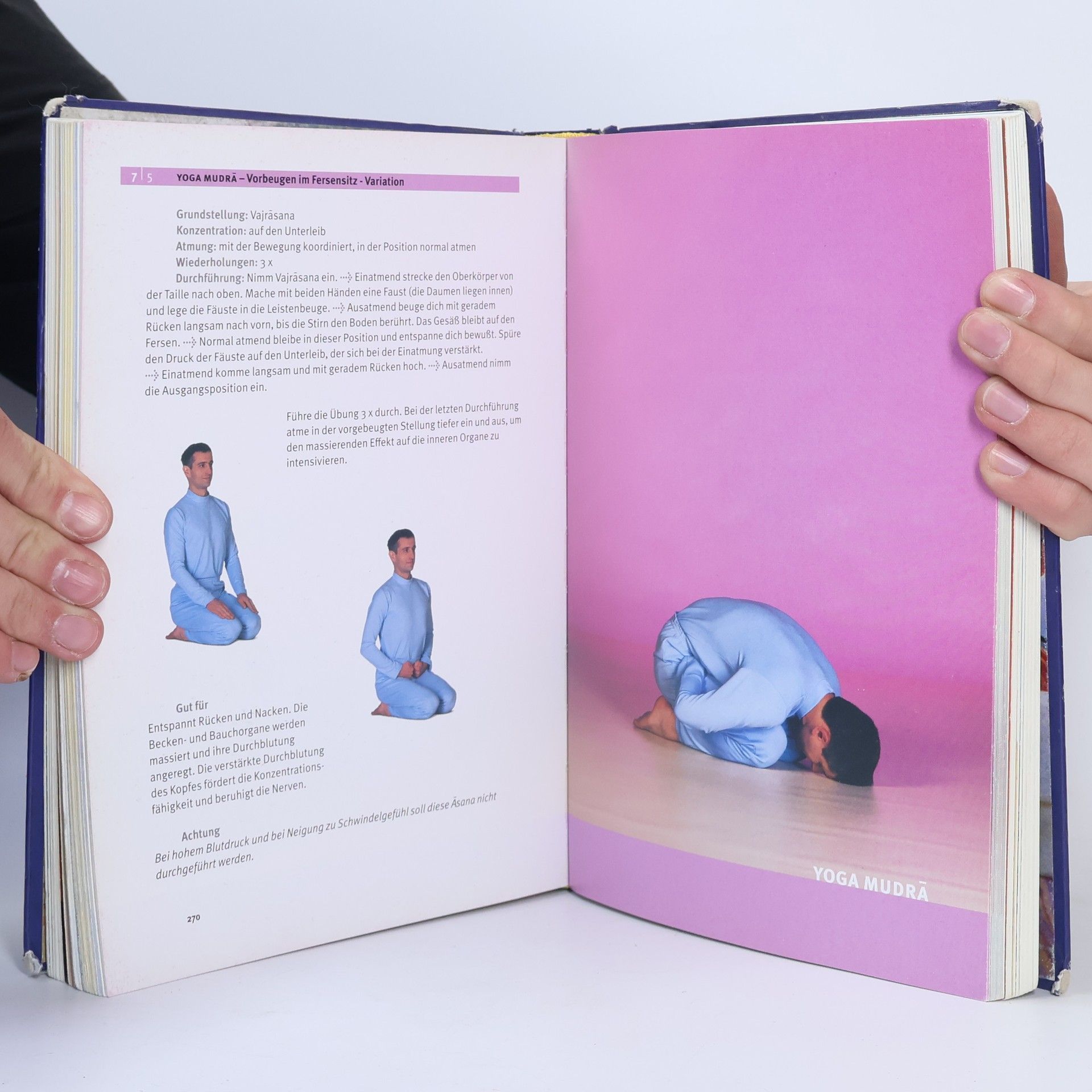 Swami Maheshwarananda Das System "Yoga im täglichen Leben"