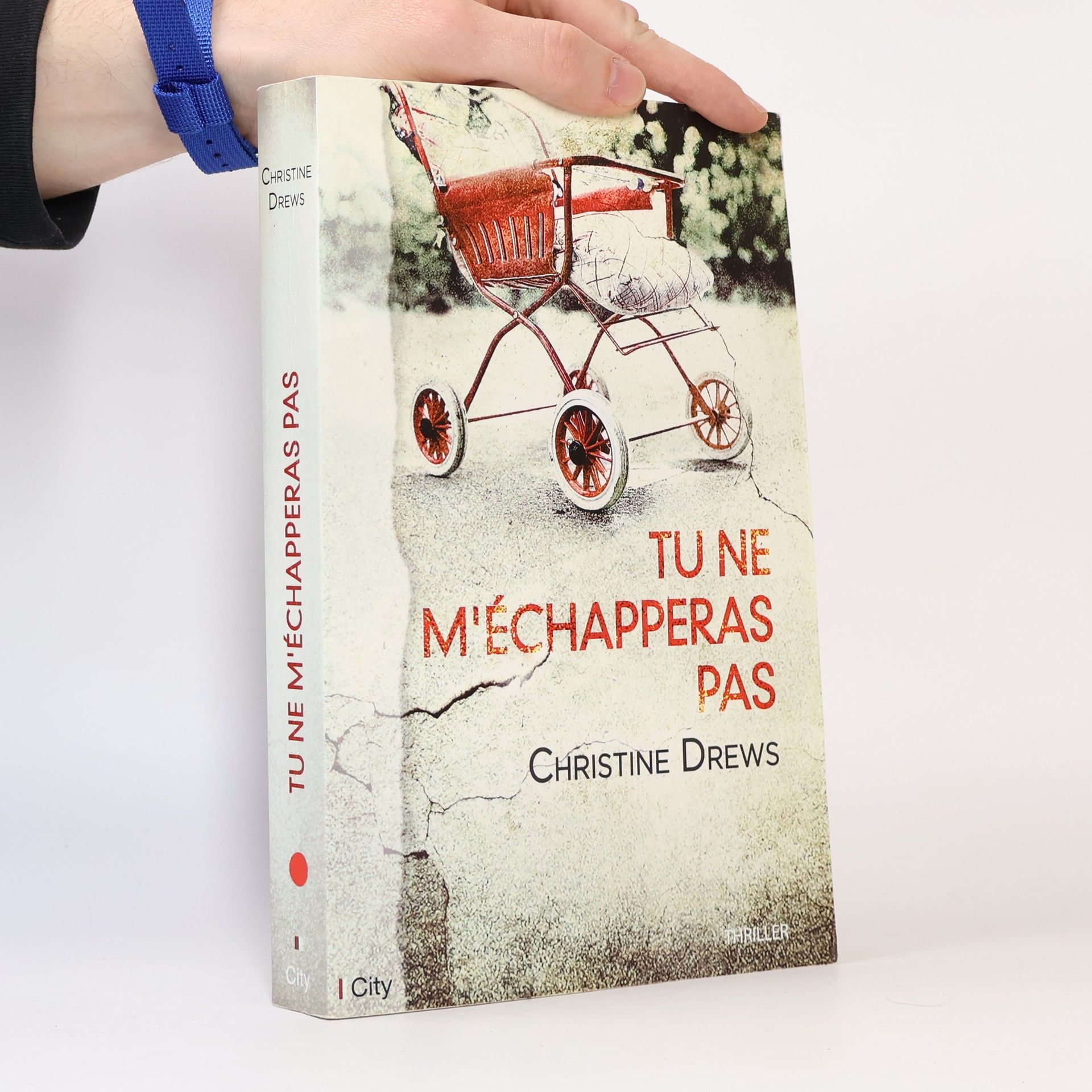 Christine Drews Tu ne m'échapperas pas