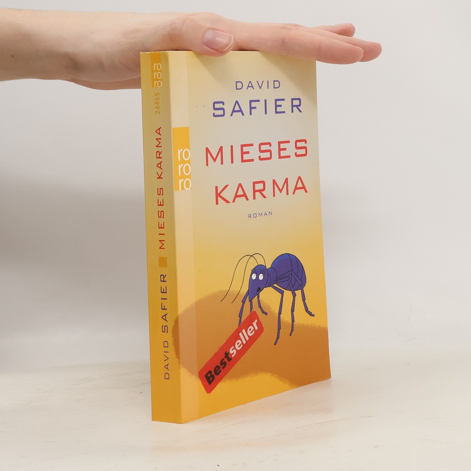 David Safier Mieses Karma