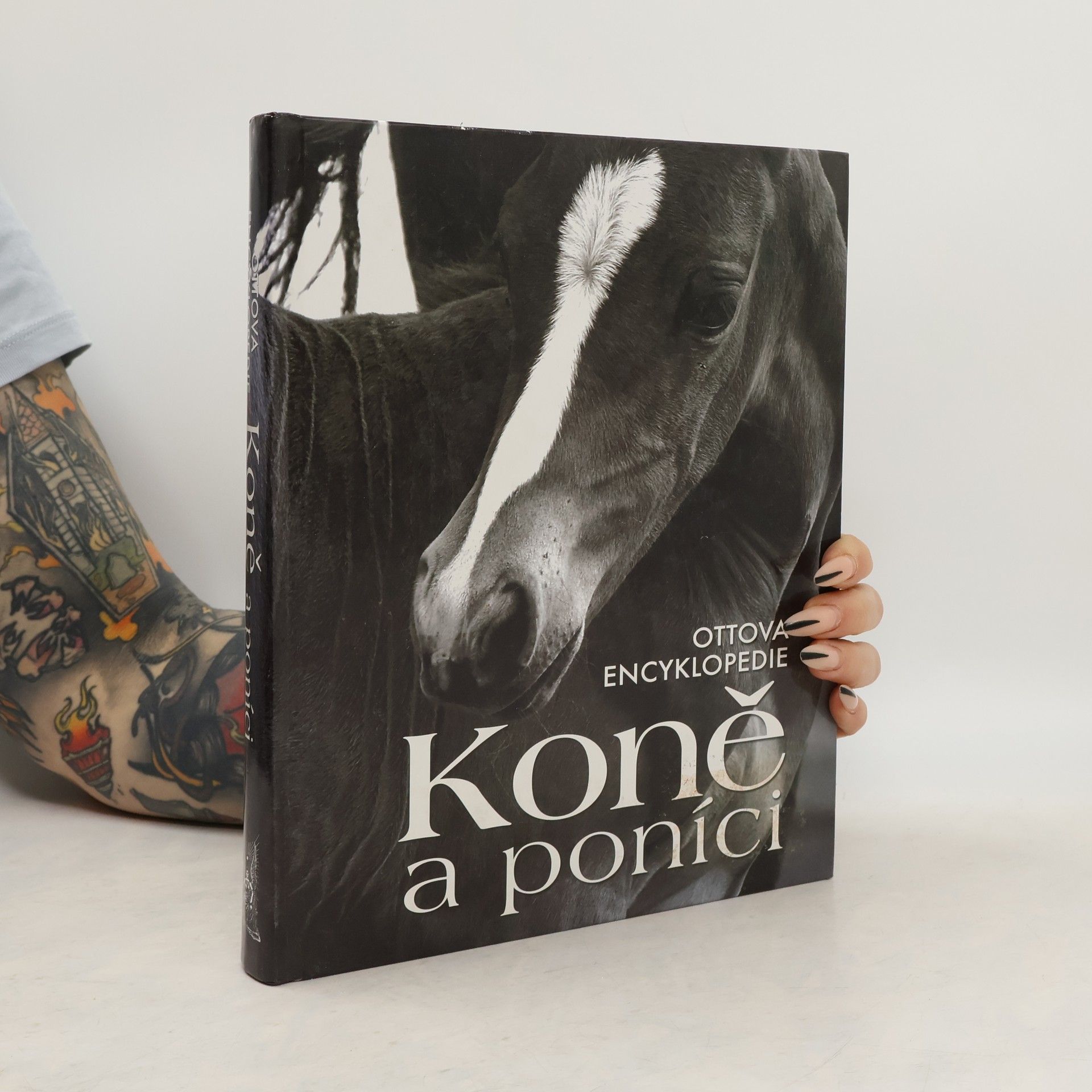 Collectif d'auteurs Koně a poníci. Ottova encyklopedie