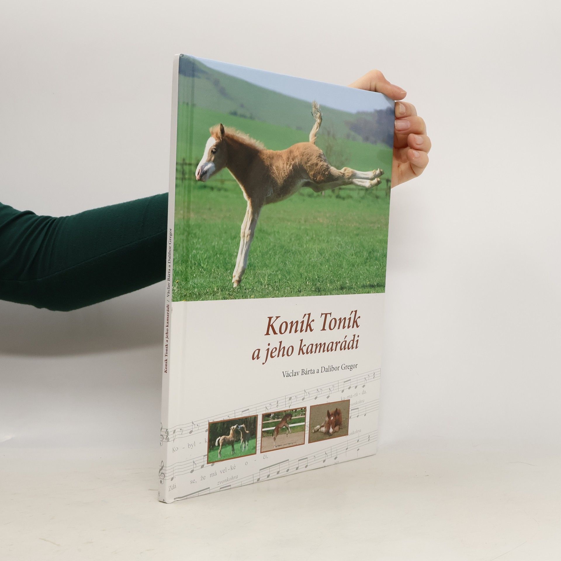 Dalibor Gregor Koník Toník a jeho kamarádi