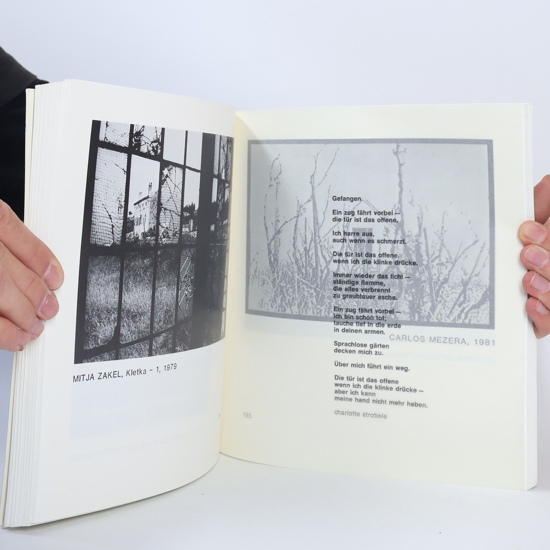 Charlotte Strobele Photocommunication