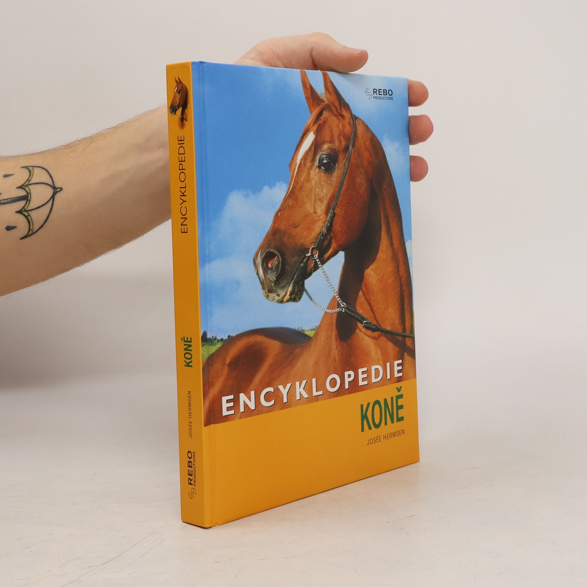 Kateřina Hlavová Encyklopedie koně