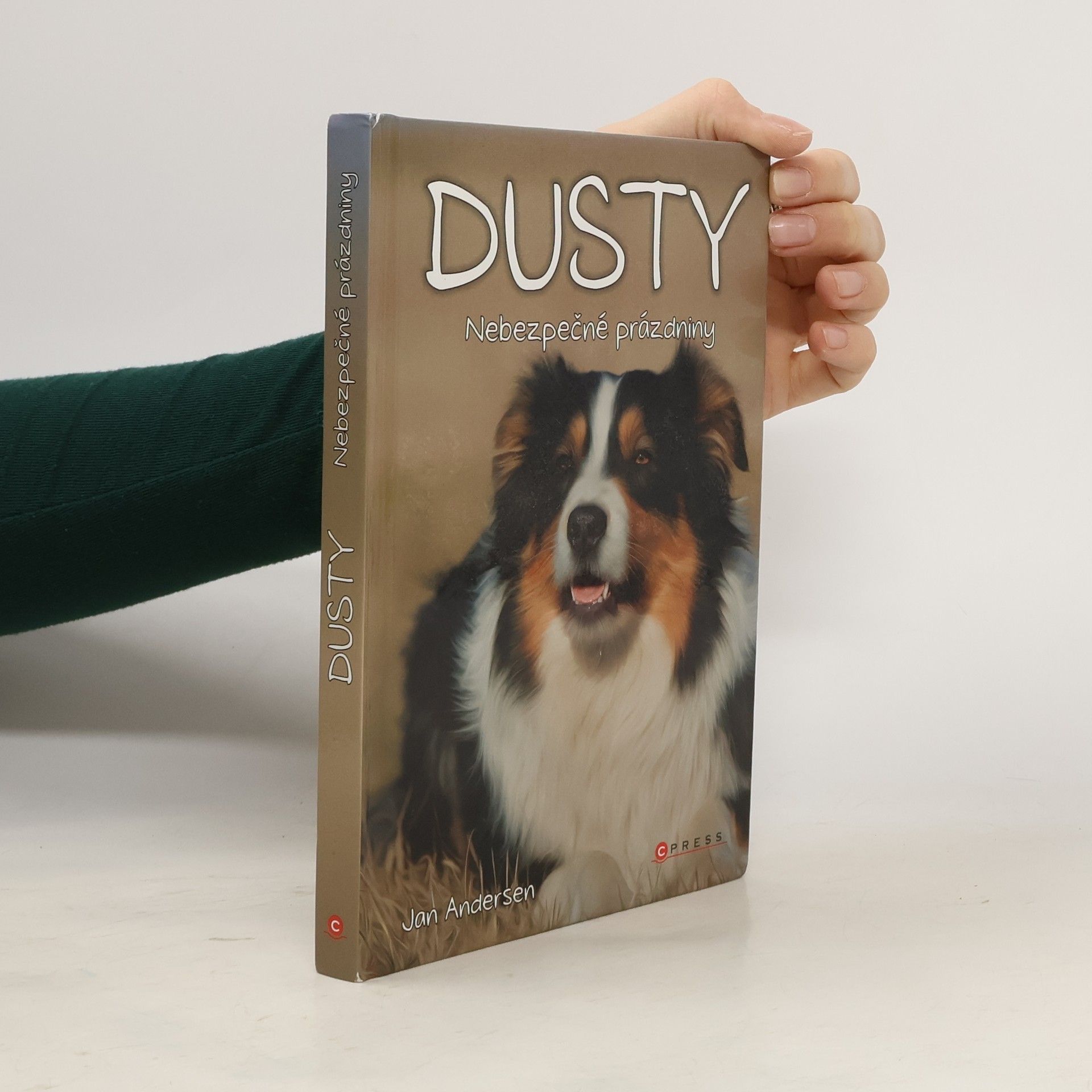 Wolfram Hänel Dusty: Nebezpečné prázdniny