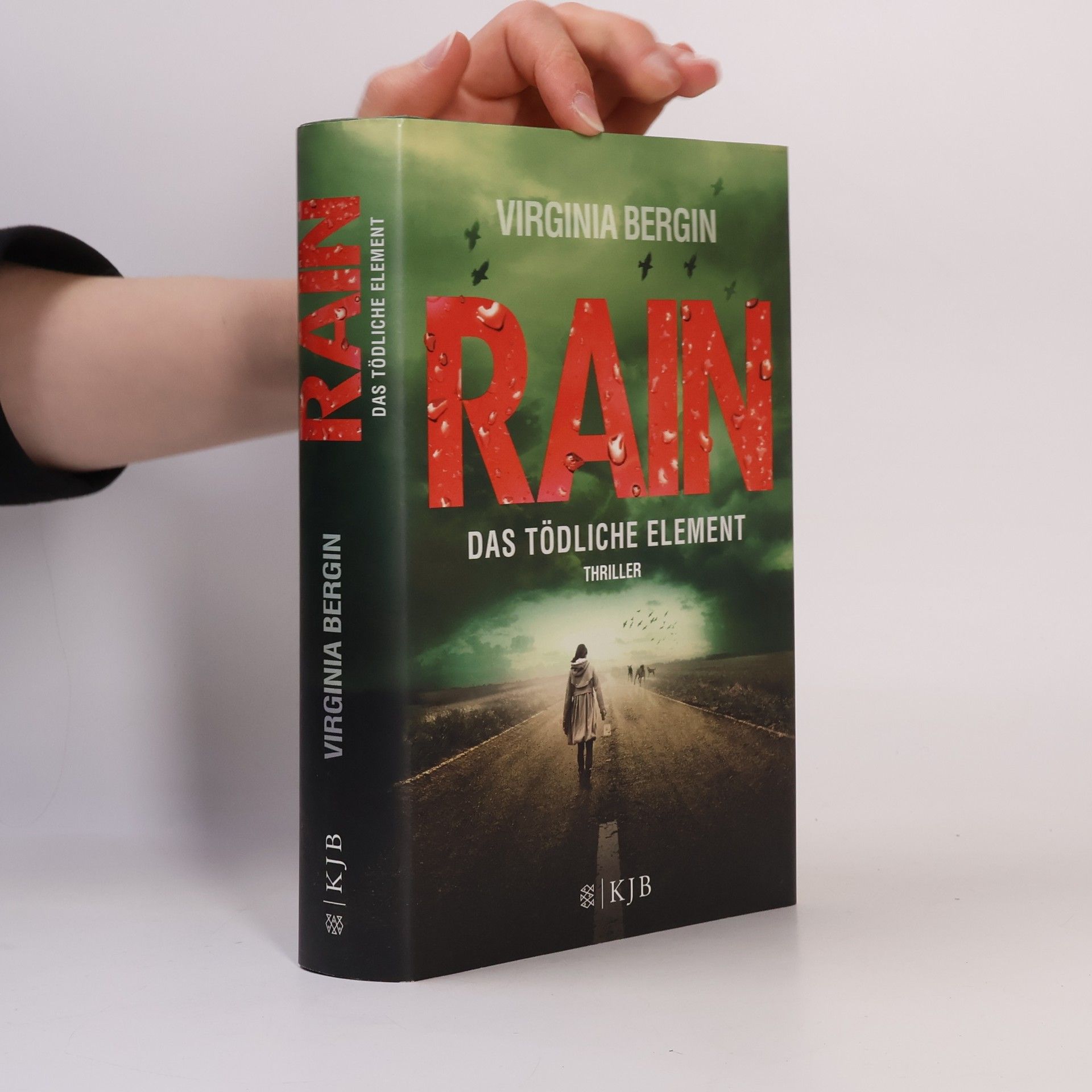 Virginia Bergin Rain - das tödliche Element