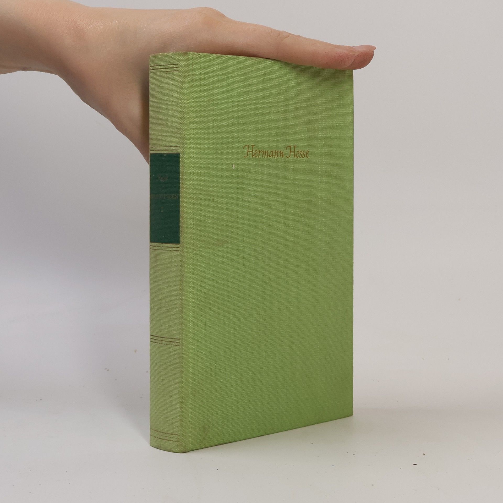 Hermann Hesse Erzählungen 2