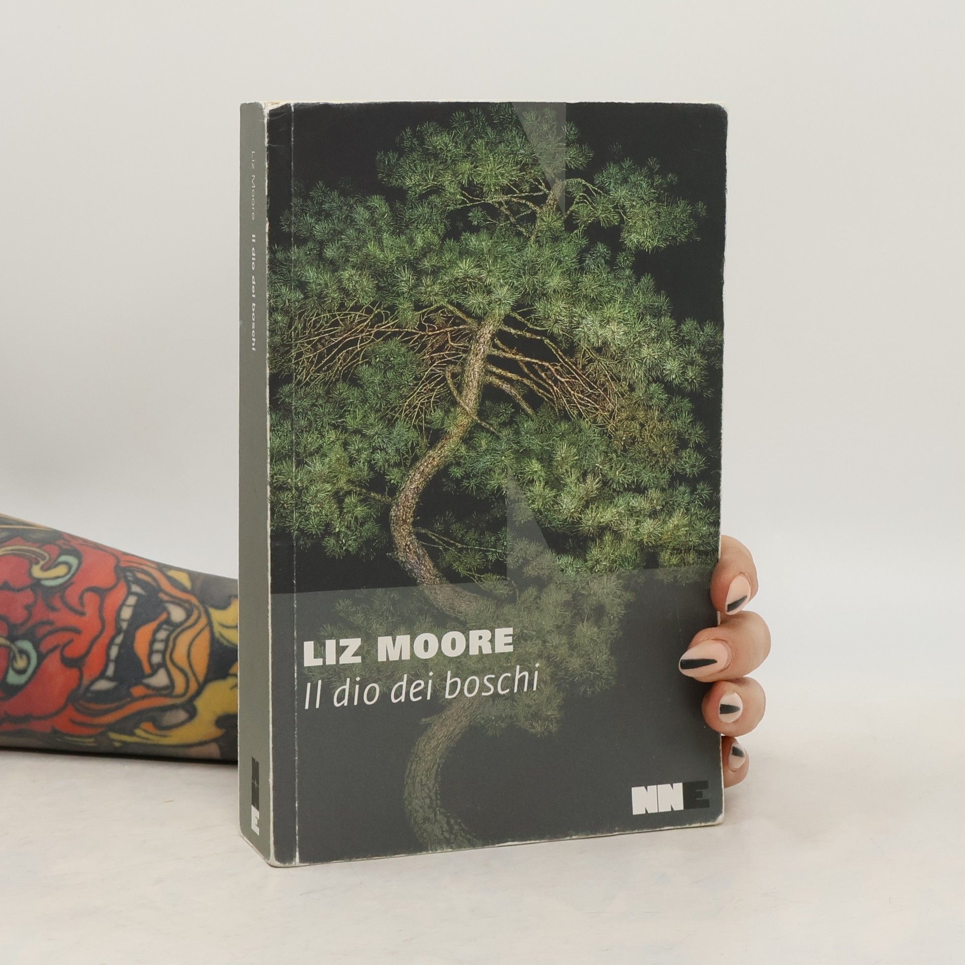 Liz Moore Il dio dei boschi