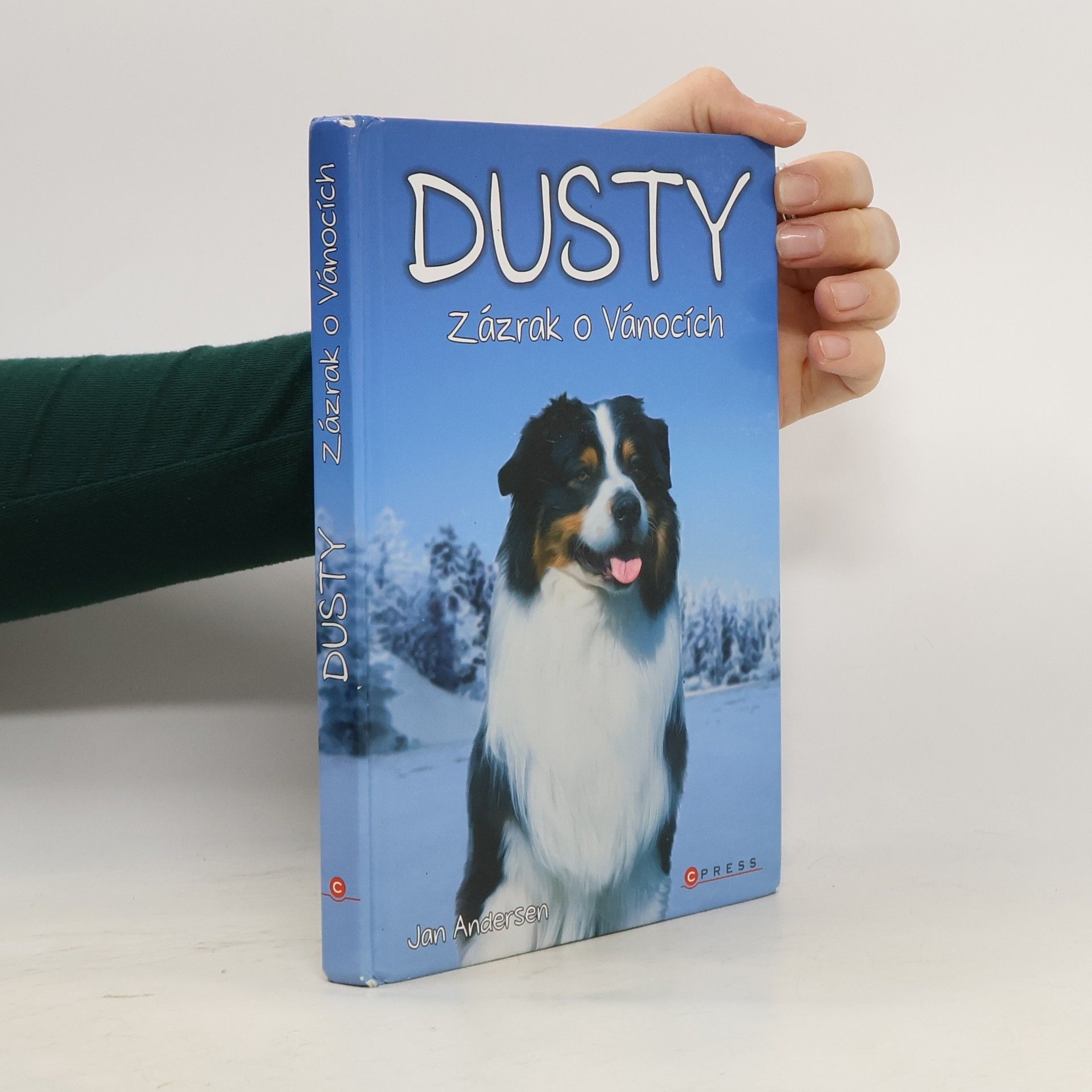Wolfram Hänel Dusty: Zázrak o Vánocích