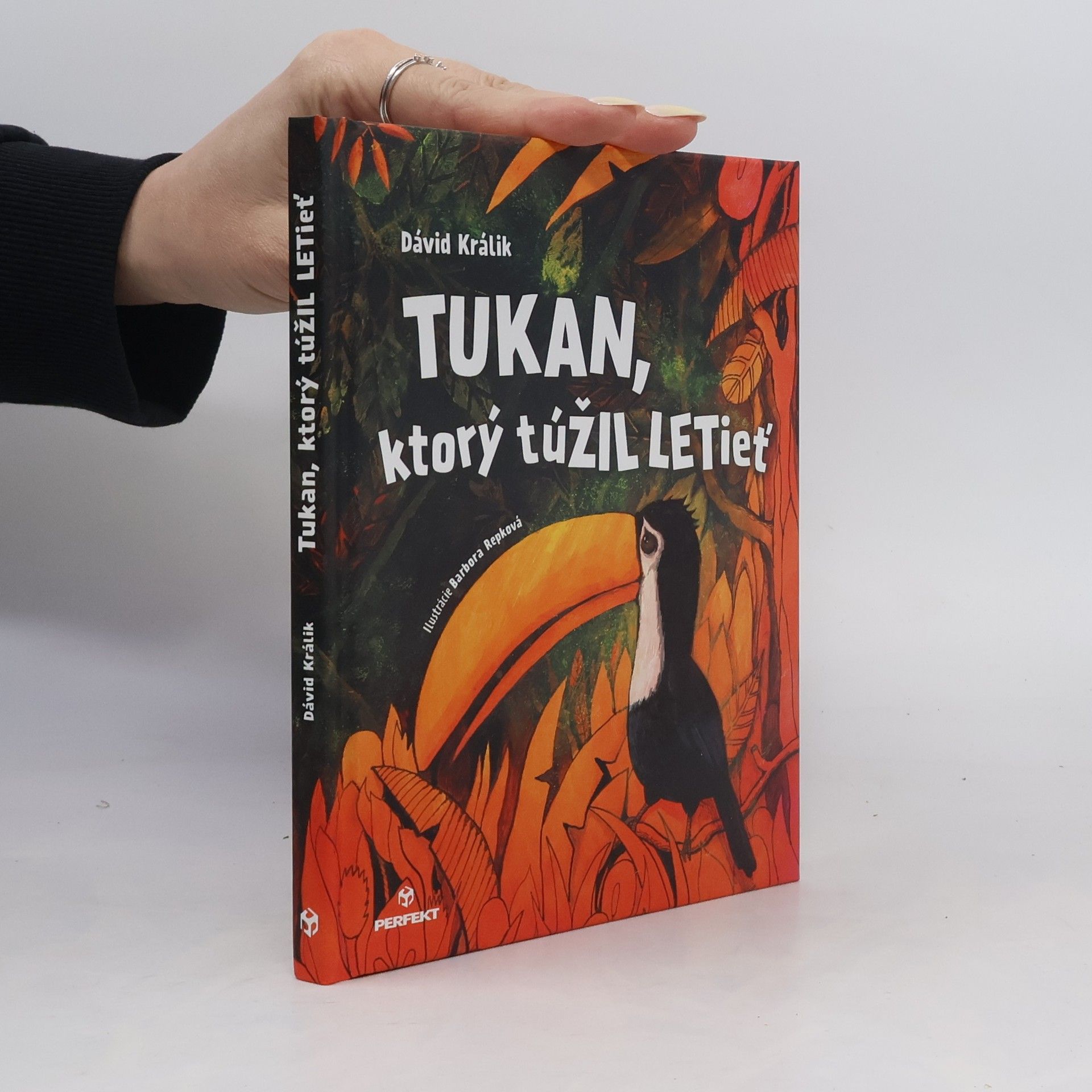 Dávid Králik Tukan, ktorý túžil letieť