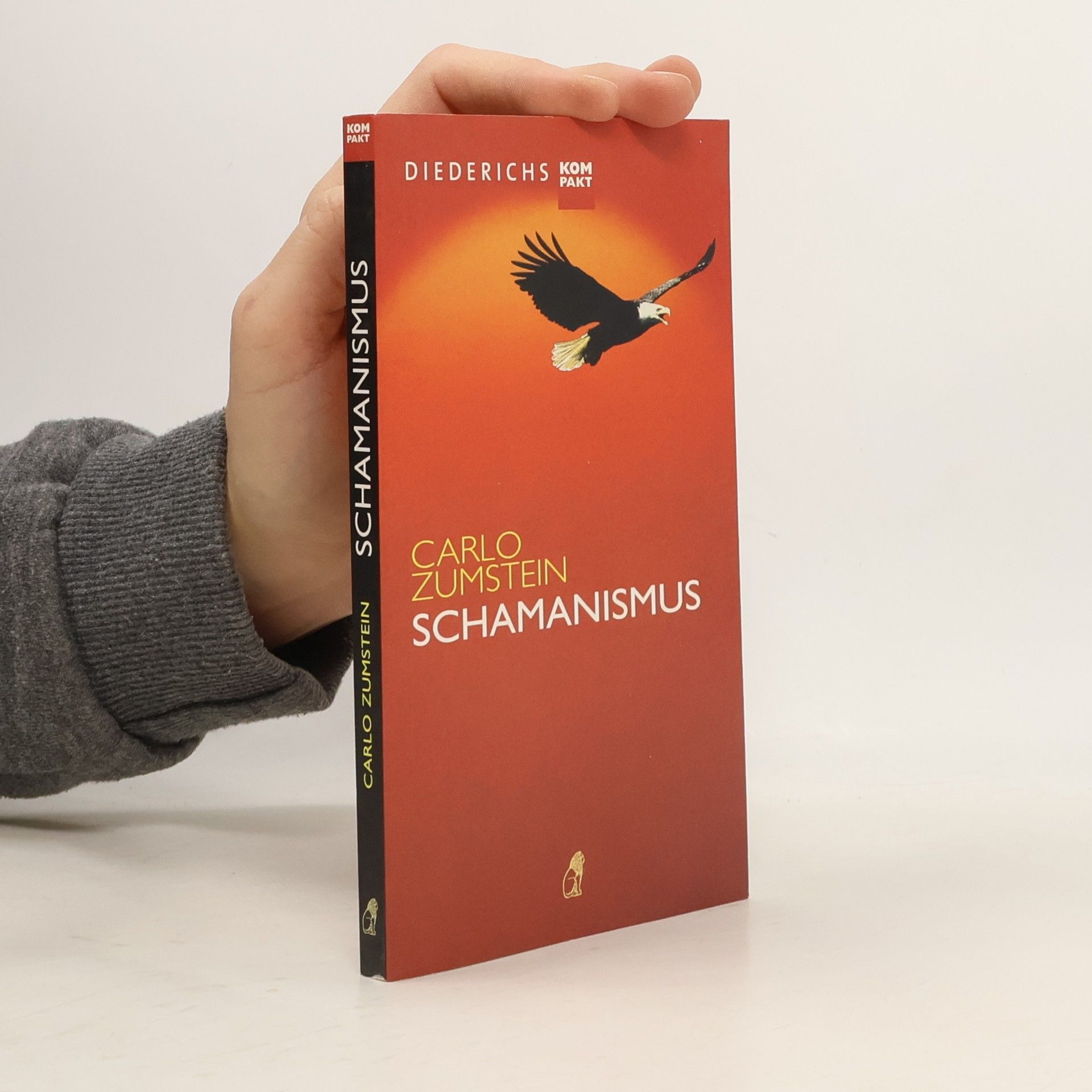 Carlo Zumstein Schamanismus