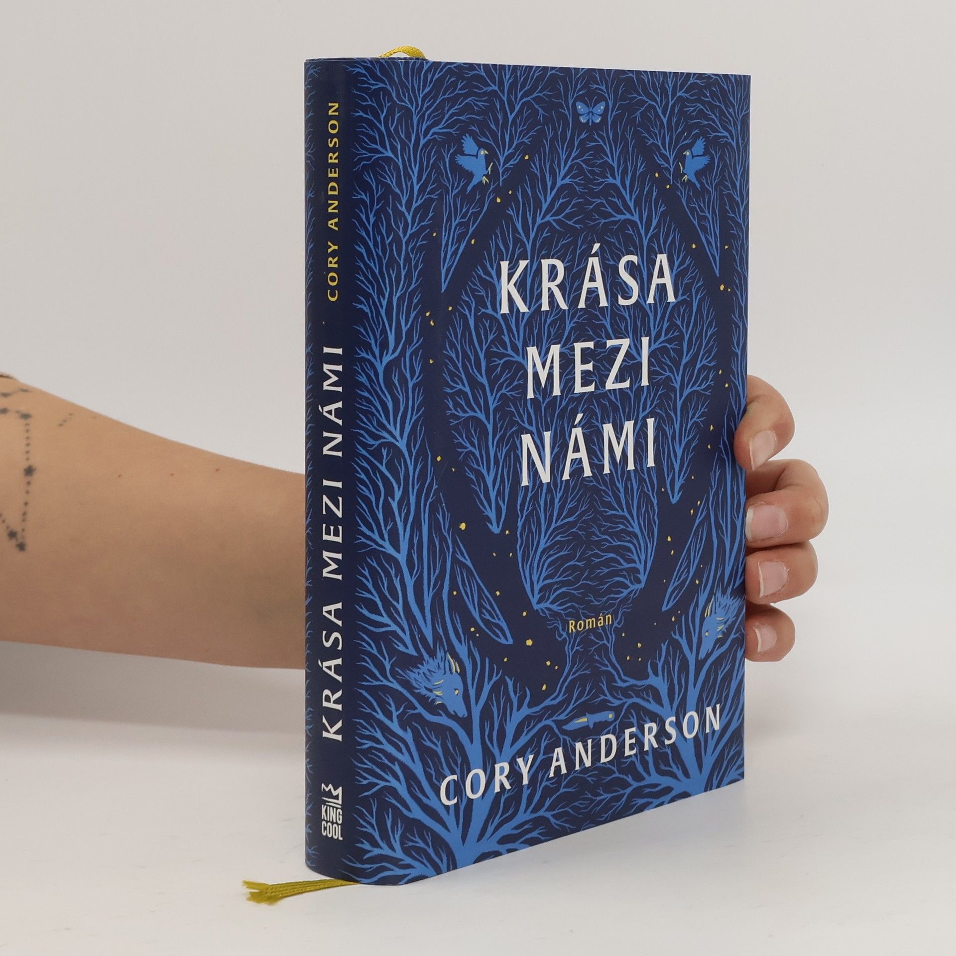 Cory L. Anderson Krása mezi námi