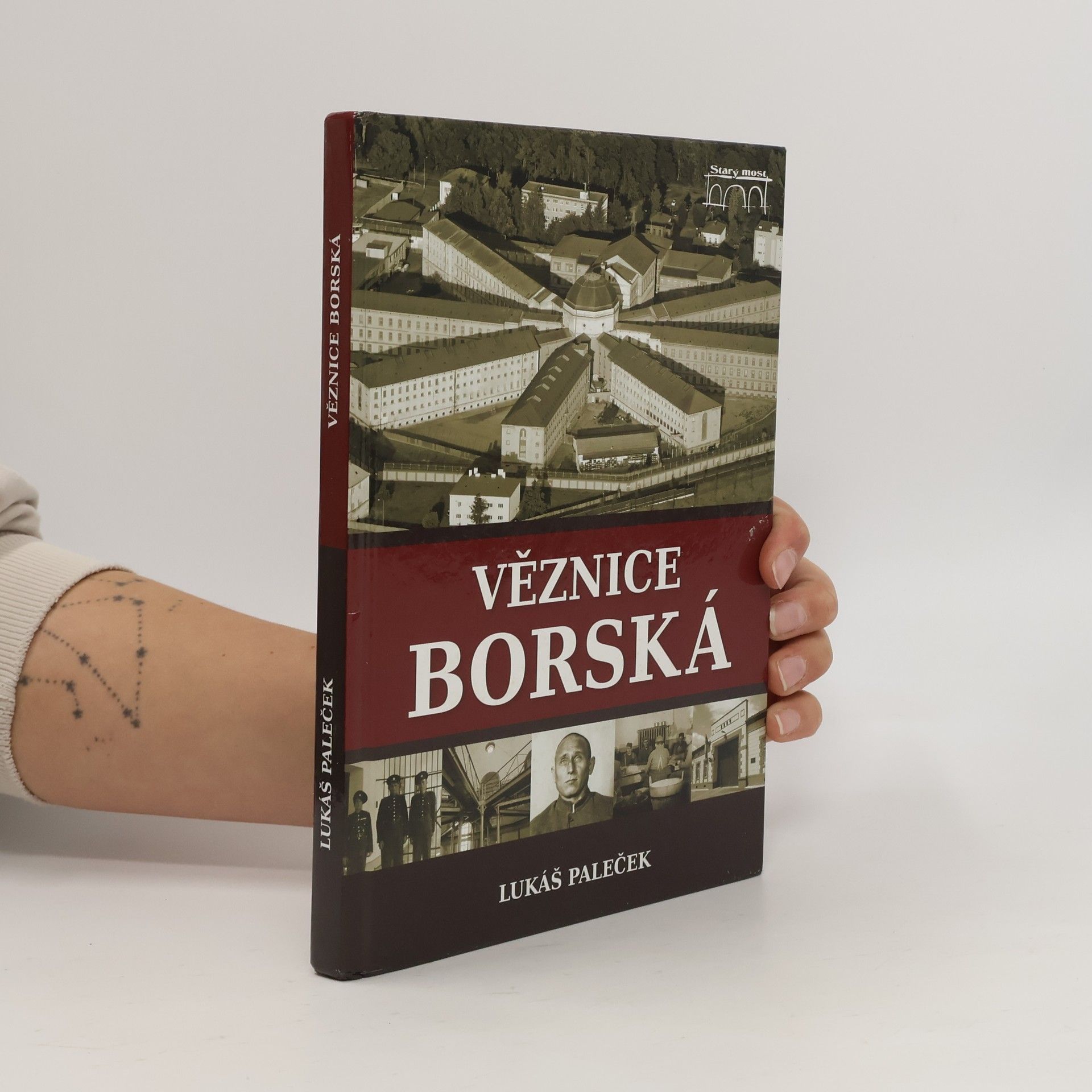 Lukáš Paleček Věznice borská