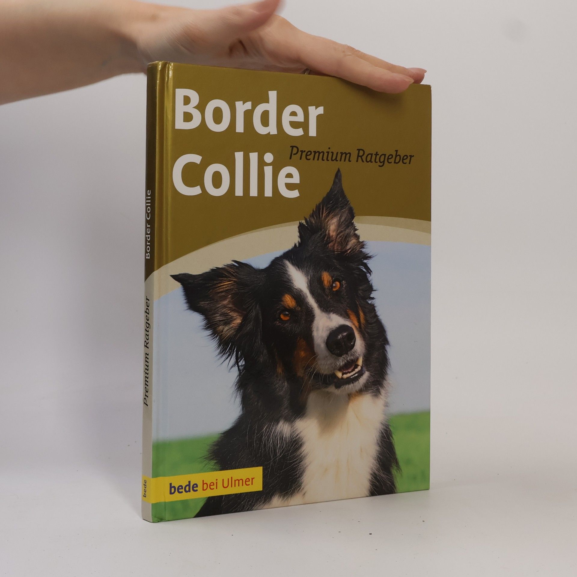 Annette Schmitt Bede Premium Ratgeber: Border Collie