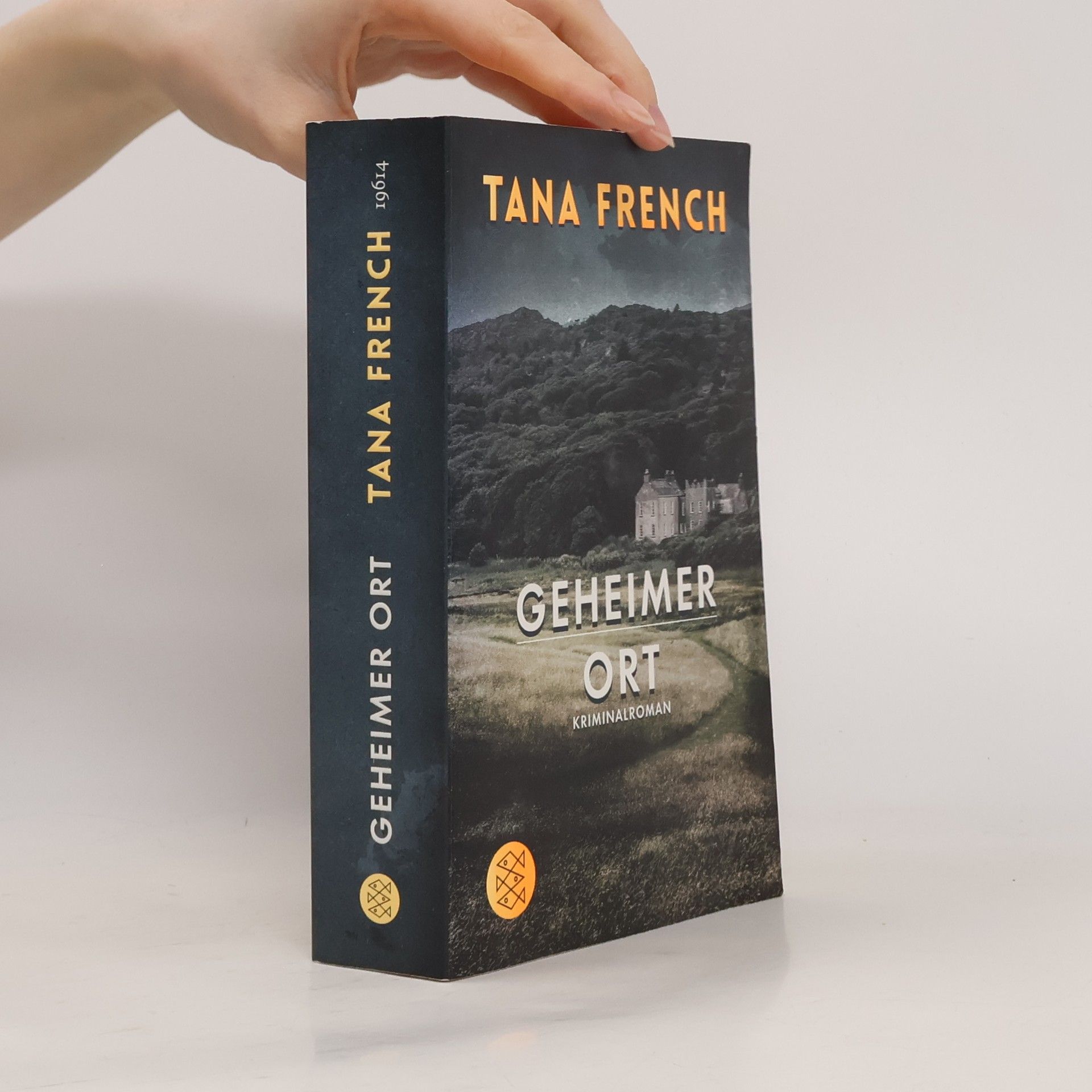 Tana French Geheimer Ort