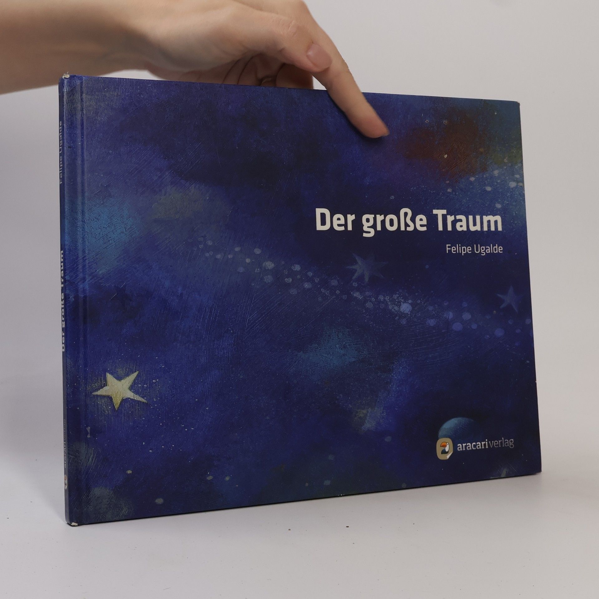 Felipe Ugalde Der große Traum