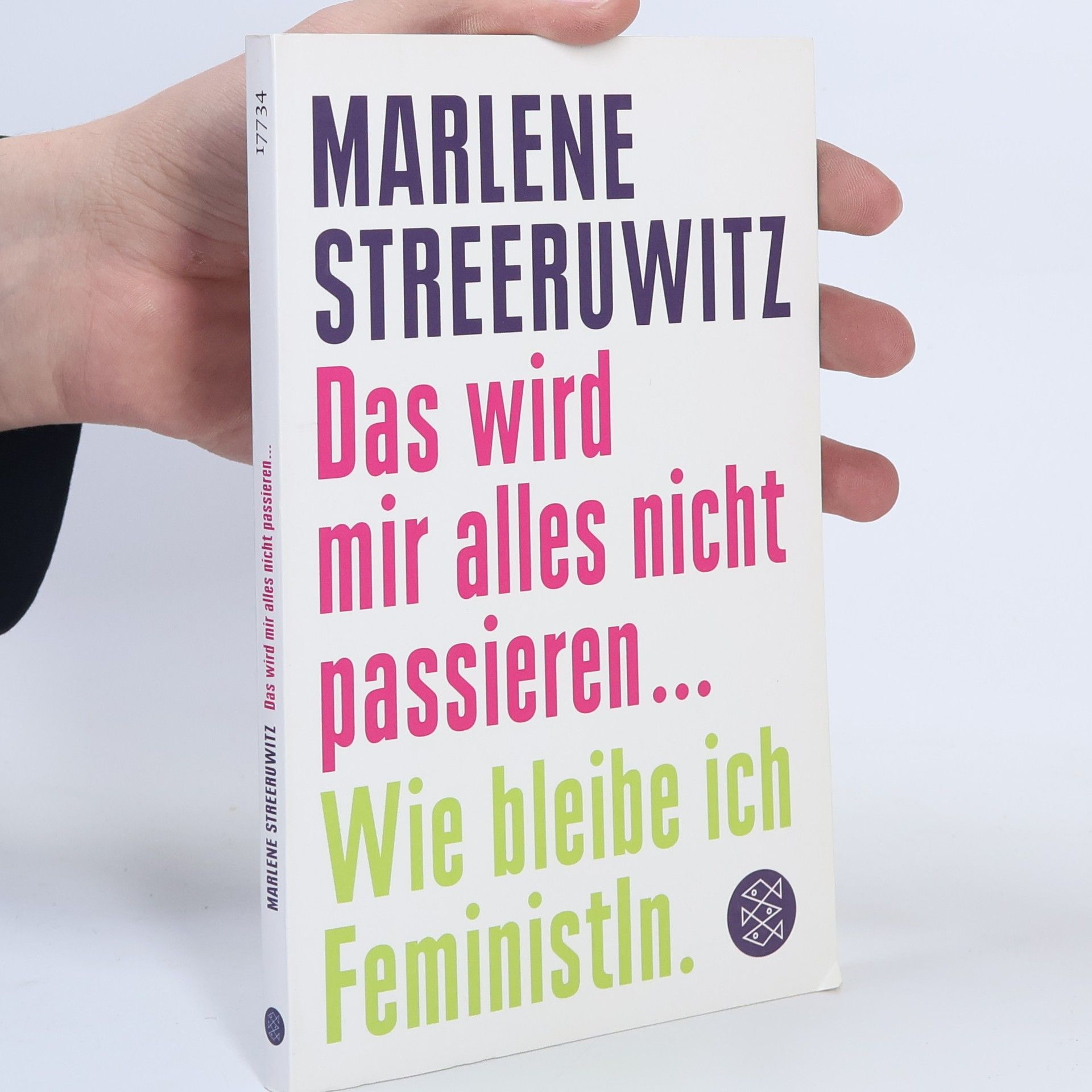 Marlene Streeruwitz Das wird mir alles nicht passieren ...