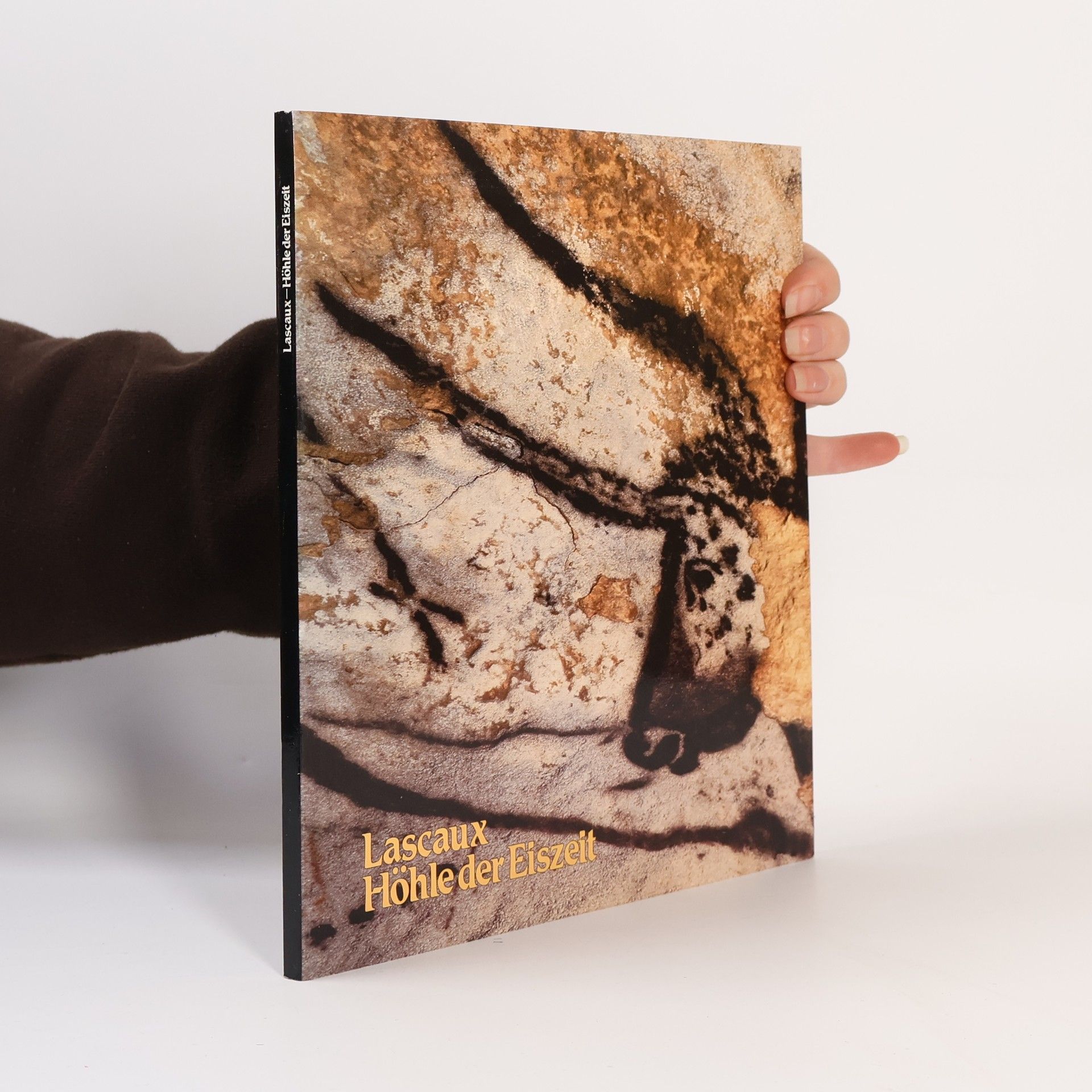 Gerhard Rietschel Lascaux, Höhle der Eiszeit