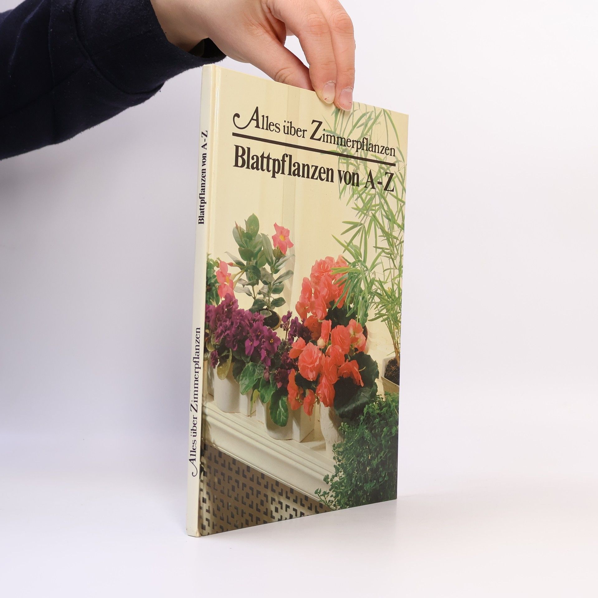 kolektiv Alles über Zimmerpflanzen. Blattpflalnzen von A-Z