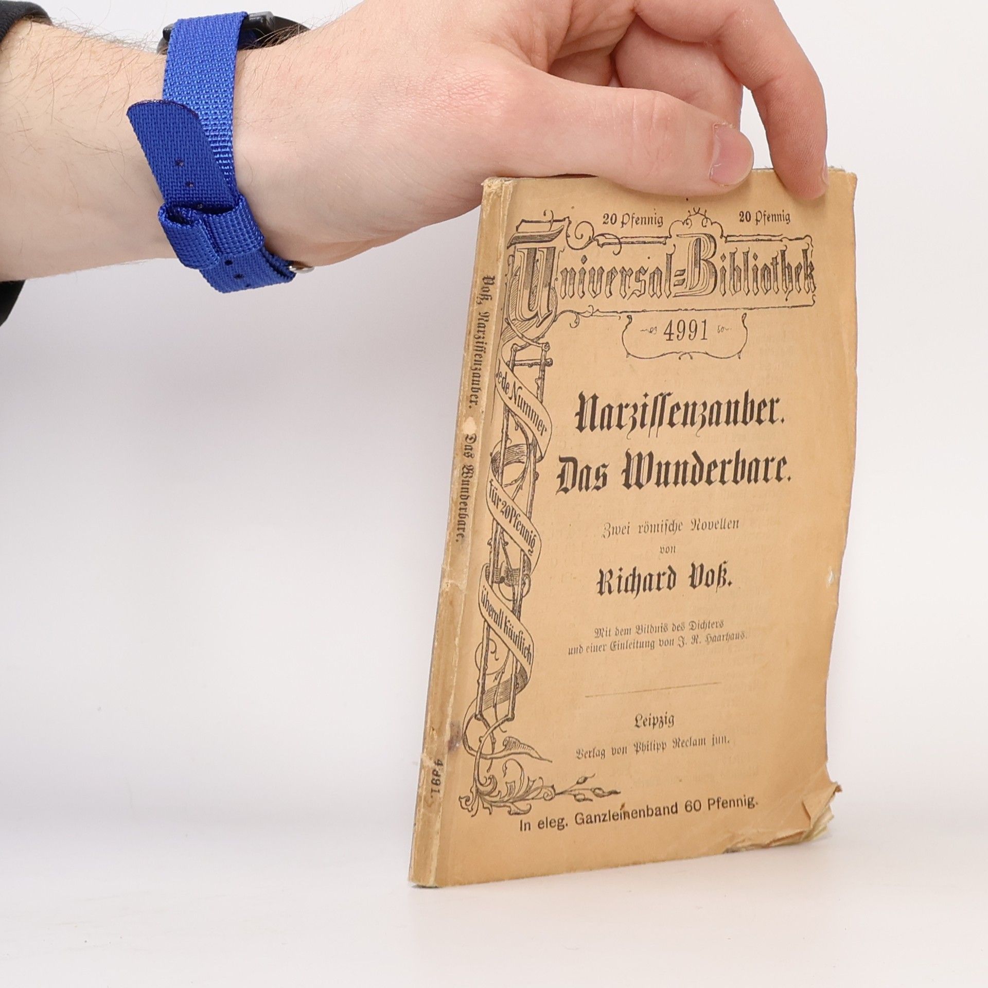 R. Vos Narzissenzauber