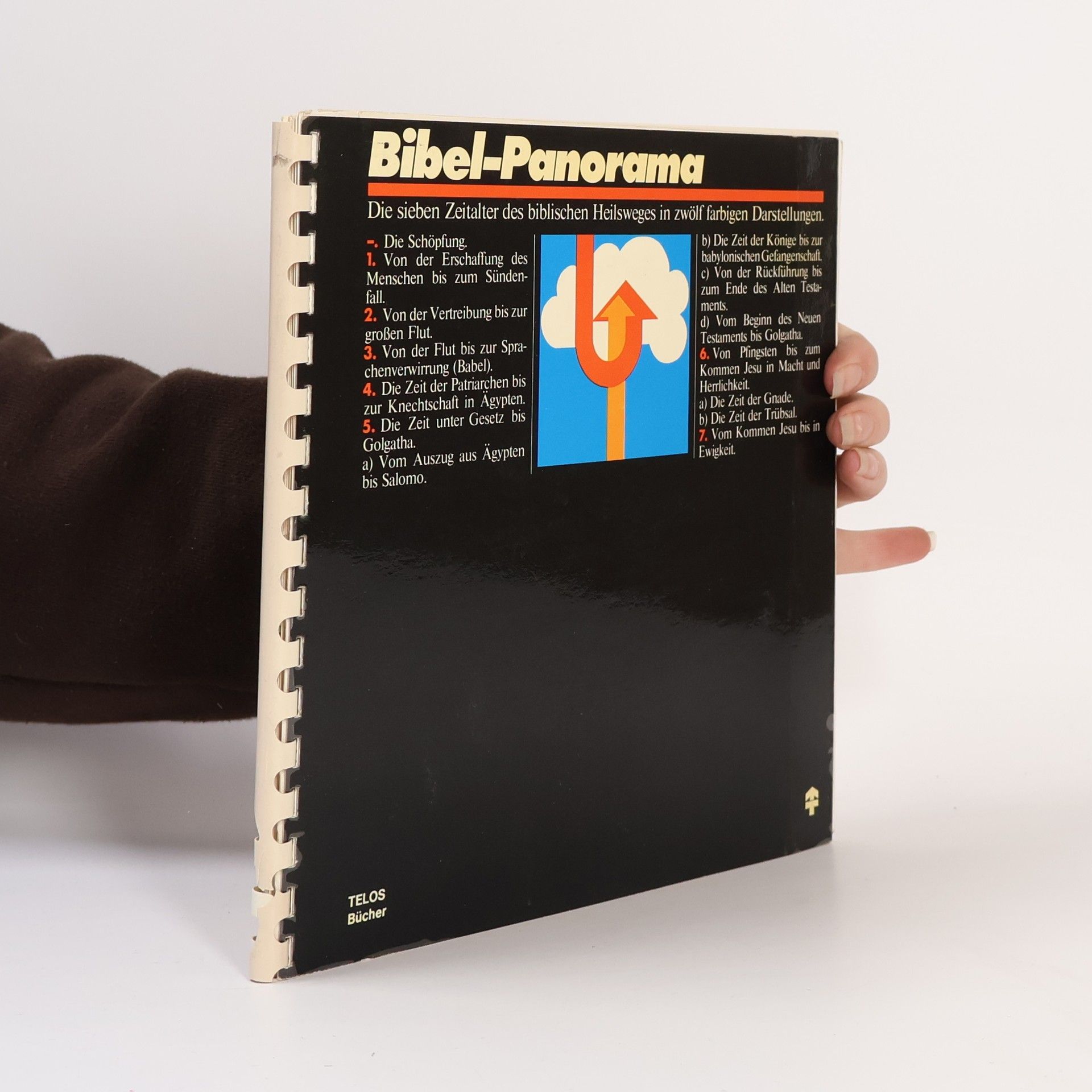 Alfred Thompson Eade Bibel-Panorama