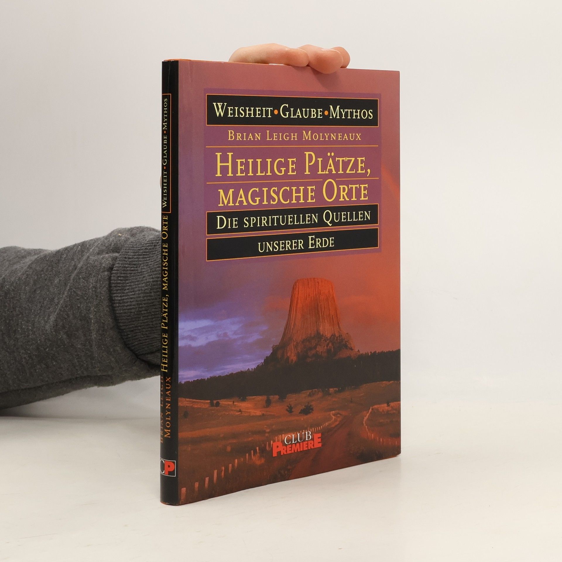 Brian Leigh Molyneaux Heilige Plätze, magische Orte. Die spirituellen Quellen. Unserer Erde