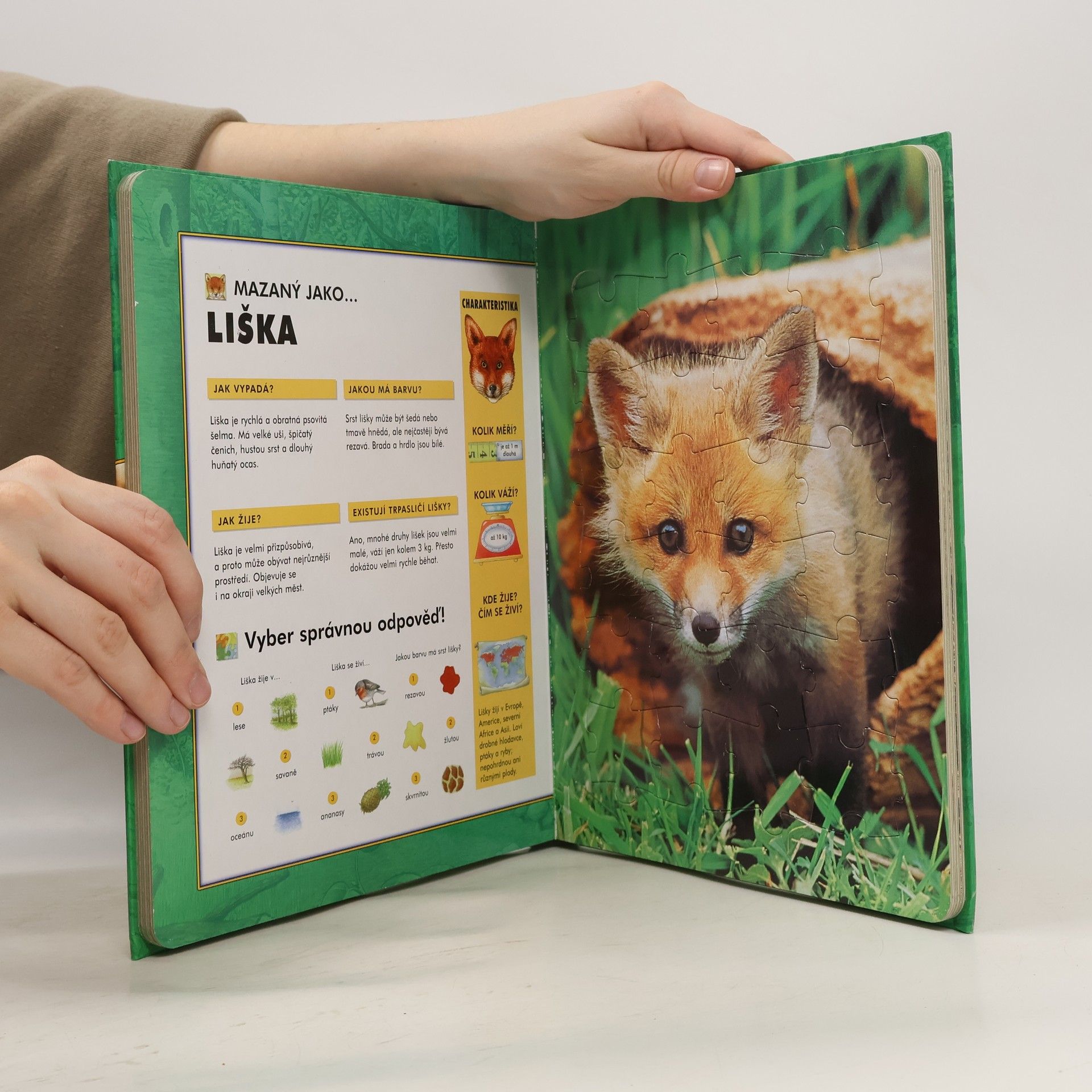 Auteurscollectief Zvířátka v lese: Knížka s puzzle