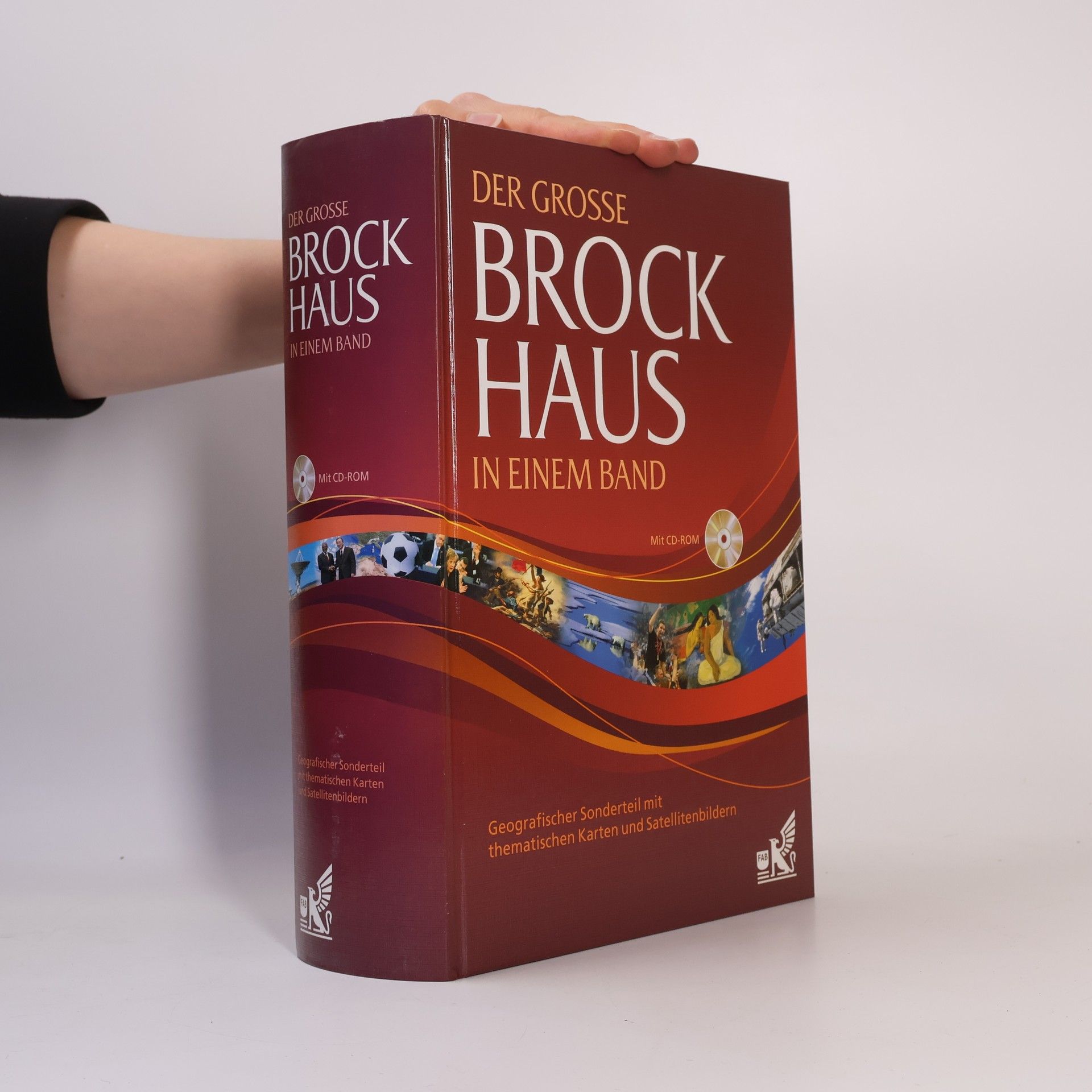 Ute Rosner Der große Brockhaus in einem Band