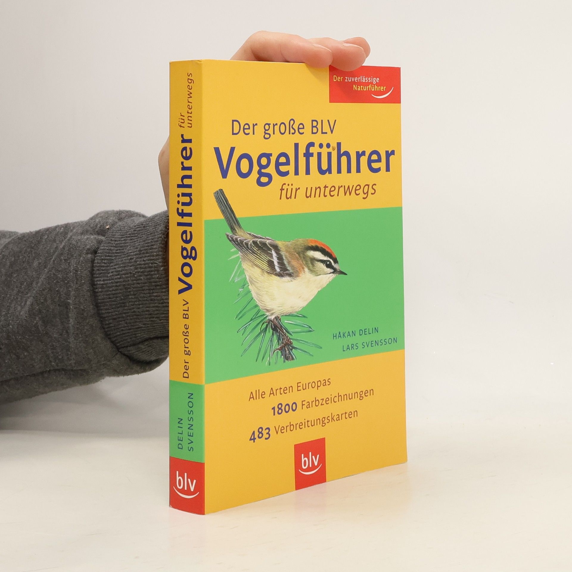 Håkan Delin Der große BLV-Vogelführer für unterwegs
