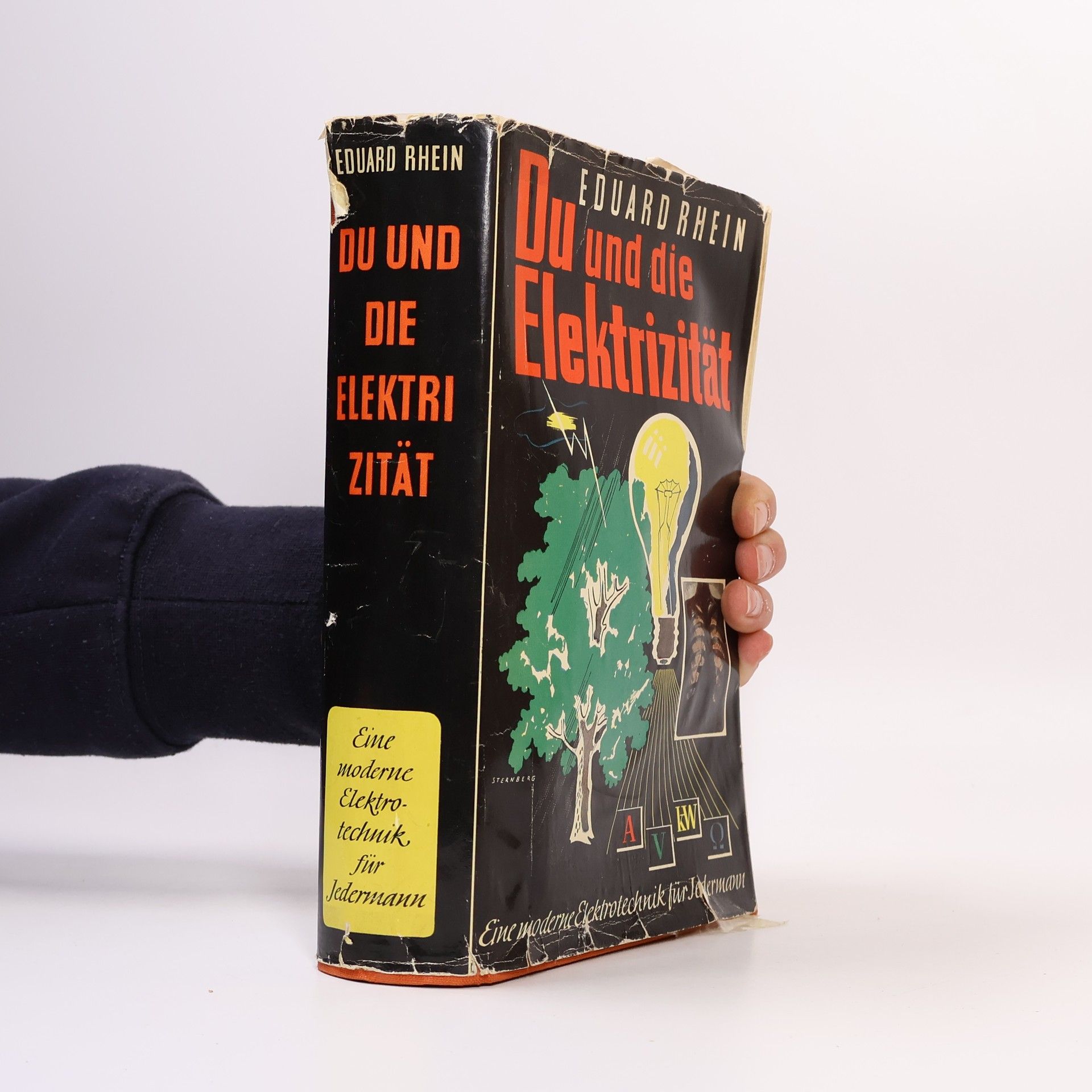 Eduard Rhein Du und die Elektrizität