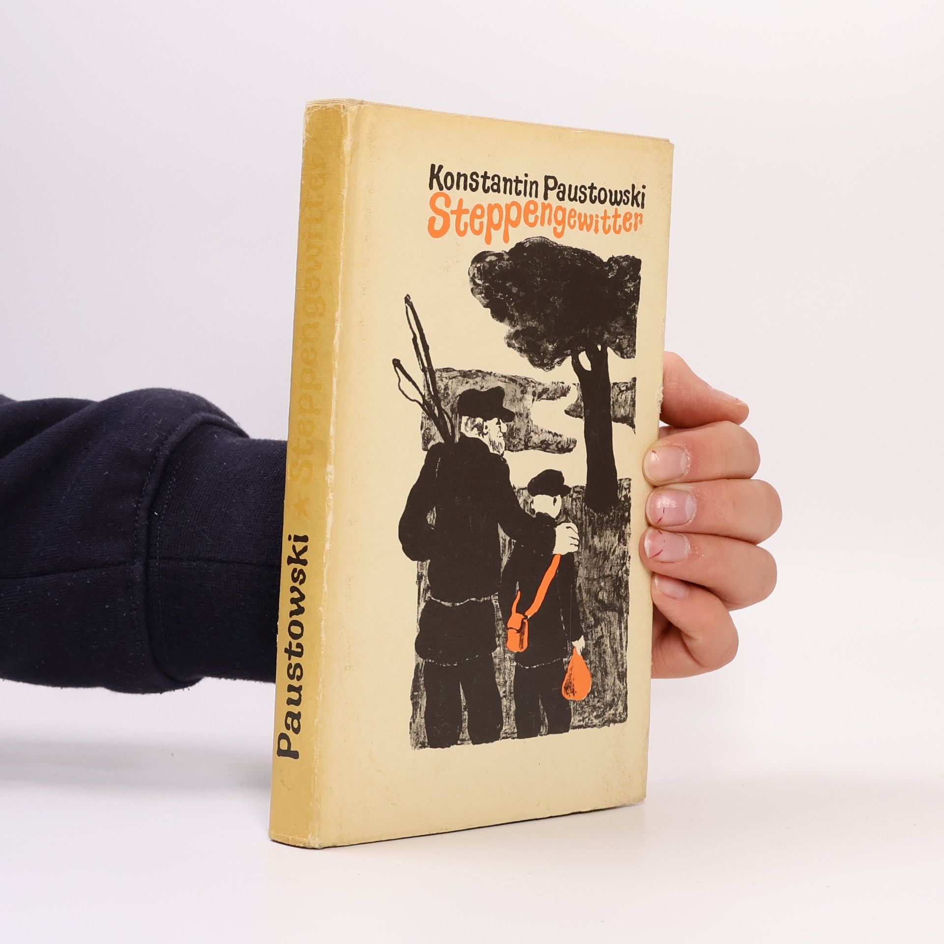 Konstantin Georgievič Paustovskij Steppengewitter